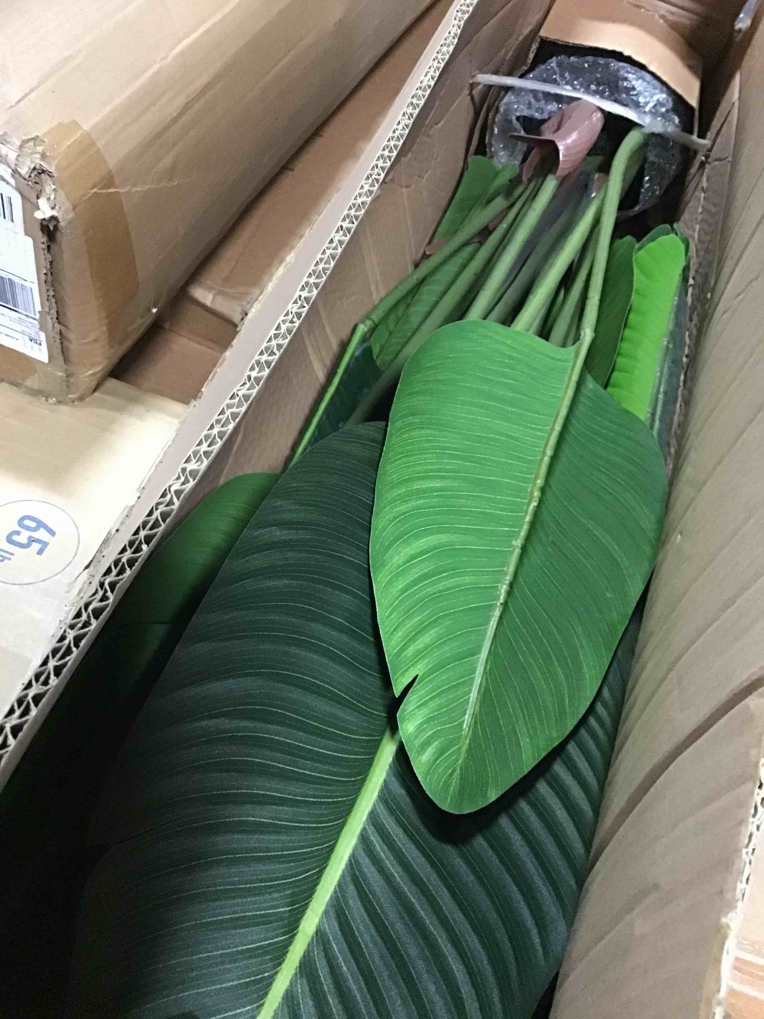 https://s3.amazonaws.com/lotting-images-prod/bidfta/YEL5083820_1687177326263.jpeg