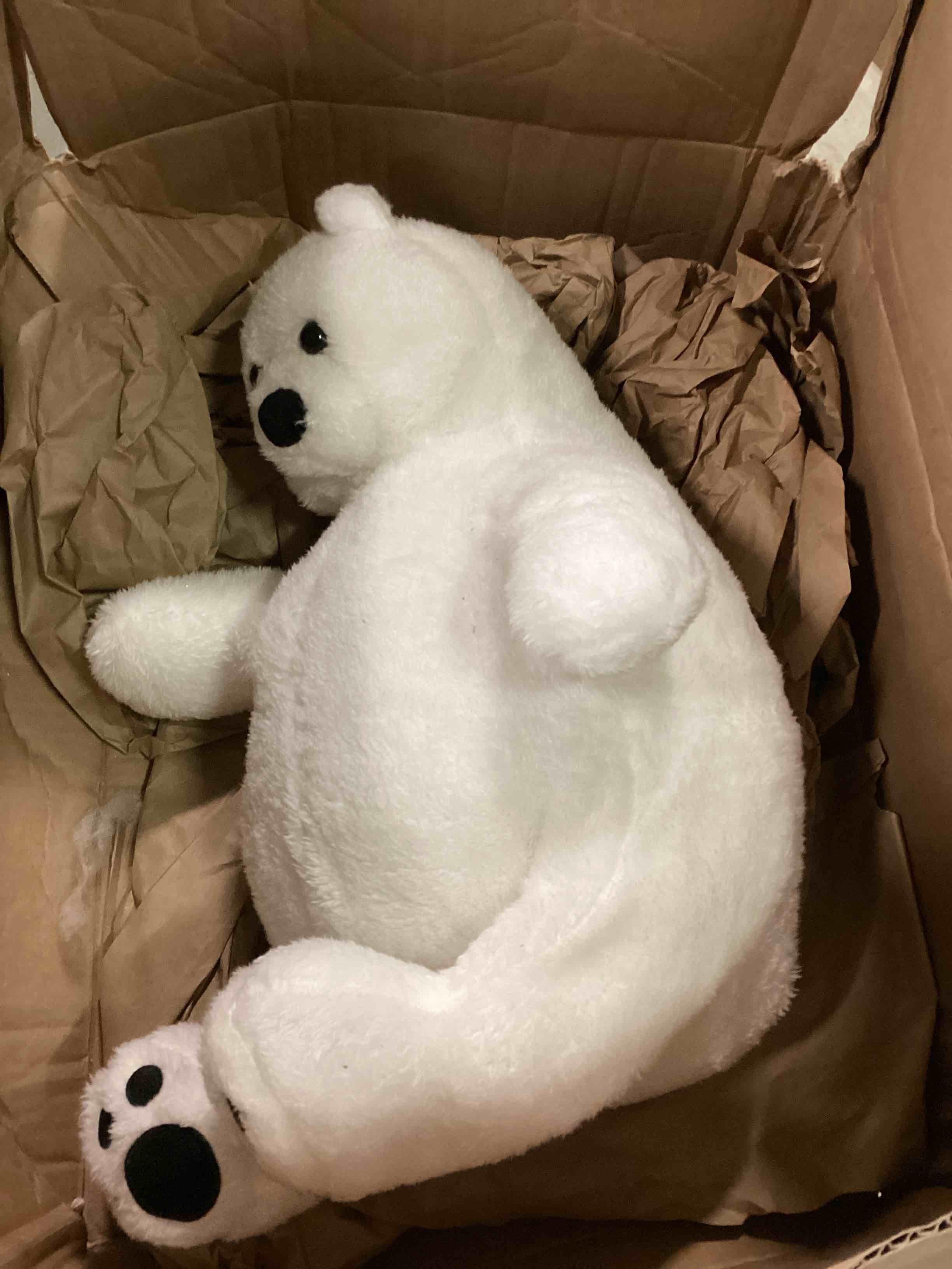  Polar Bear Plush