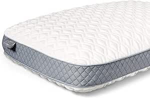 Sealy Memory Foam Pillow