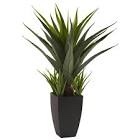 (similar photo) Design by Lauren 41 inch Indoor or Outdoor Artificial Sisal Potted Agave Plant UV Rated Cactus Cacti Aloe in Decorative Ribbed Black Planter