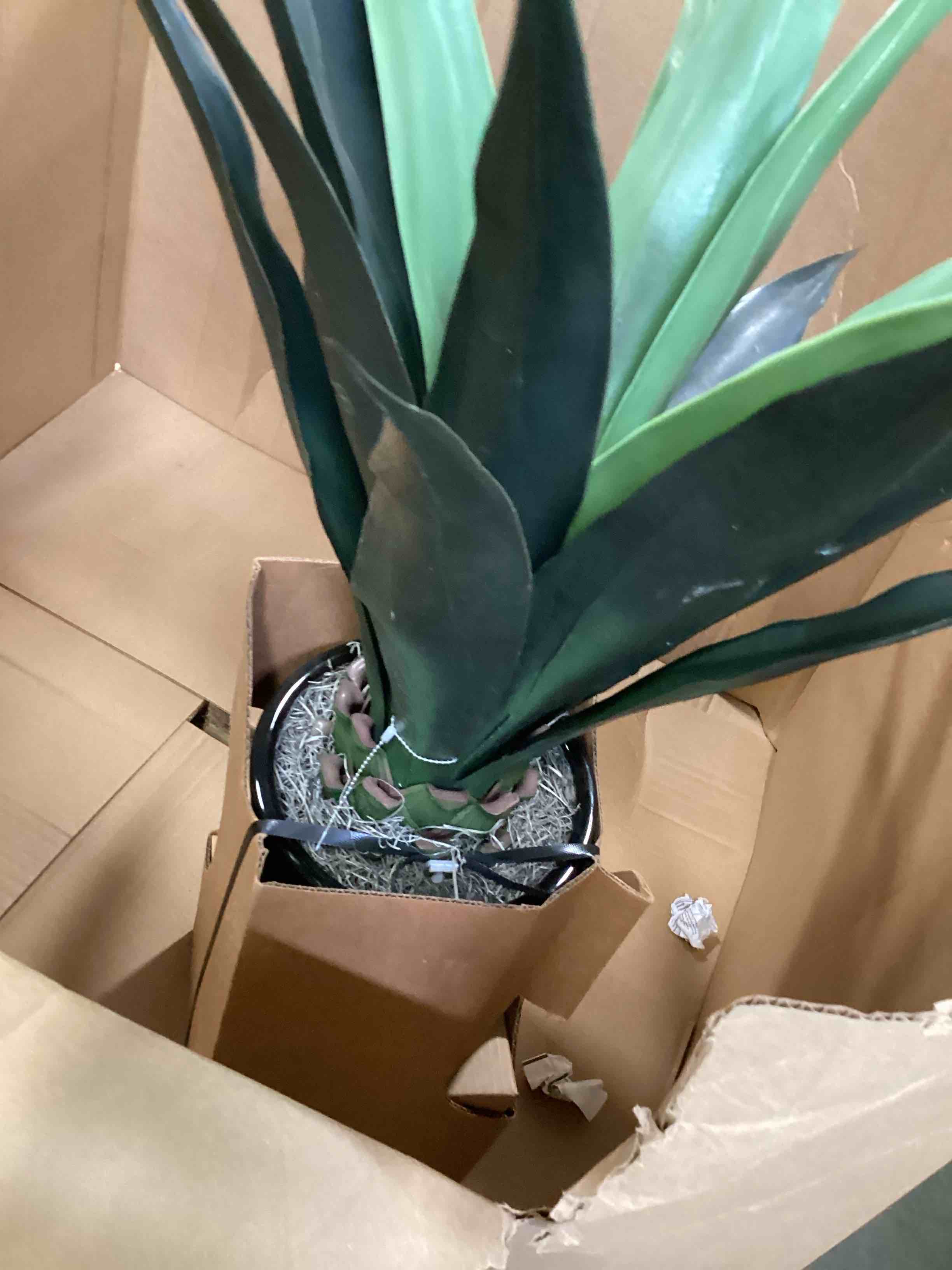 https://s3.amazonaws.com/lotting-images-prod/bidfta/YEL5173000_1723051615848.jpeg