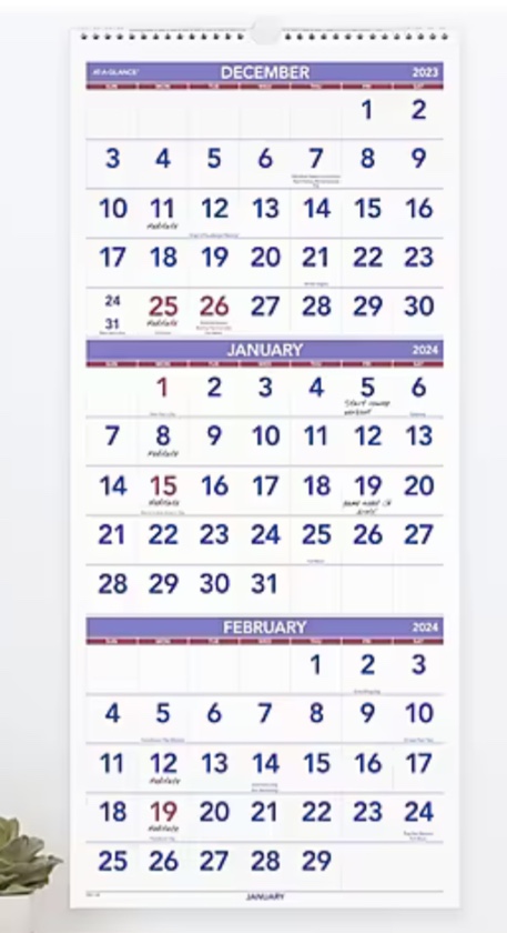 2024 12" x 27" Three-Month Wall Calendar