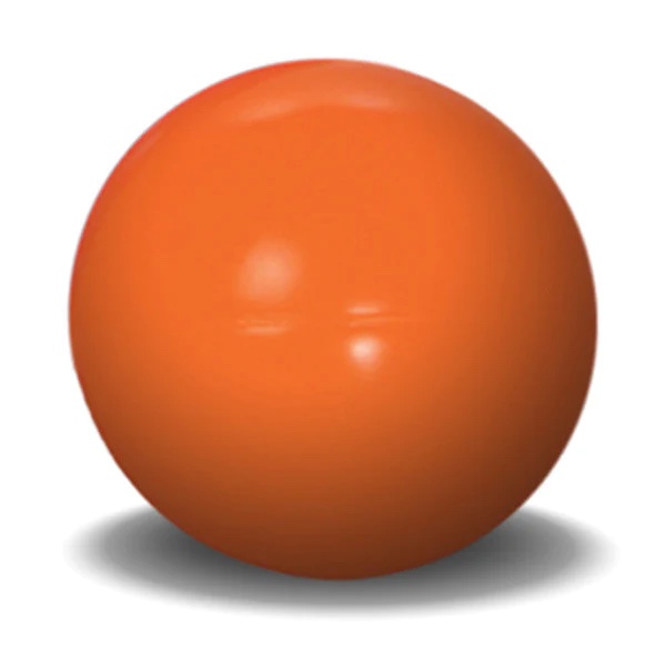 Virtually Indestructible Best Ball for Dogs, 10-inch