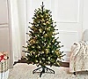 Bethlehem Lights 5' Upswept Spruce Tree