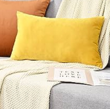 Dekoresyon 2 Pack Throw Pillow Covers 12 x 20 Inch, Velvet Decorative Pillow Covers, Soft Solid Square Throw Pillow Cases, Plush Cushion Case for Sofa Couch Bed, Yellow