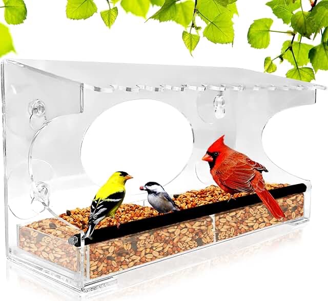Bird Feeder Bundle!