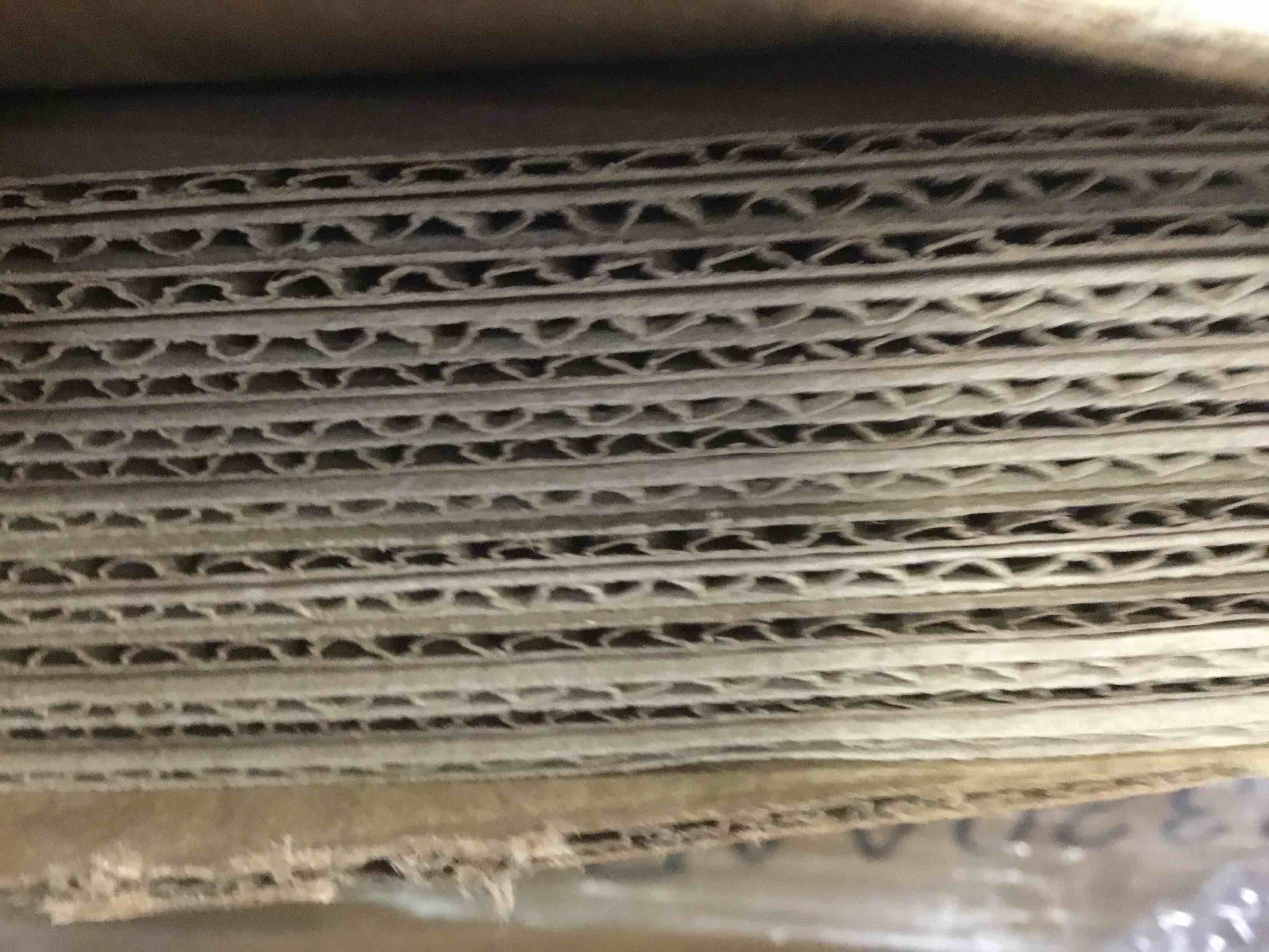 https://s3.amazonaws.com/lotting-images-prod/bidfta/YEL5352760_1690043948490.jpeg