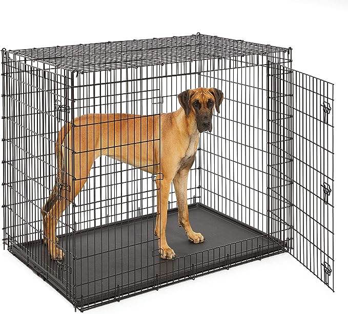 Midwest SL54DD Ginormus Double Door Dog Crate for XXL for the Largest Dogs Breeds, Great Dane, Mastiff, St. Bernard