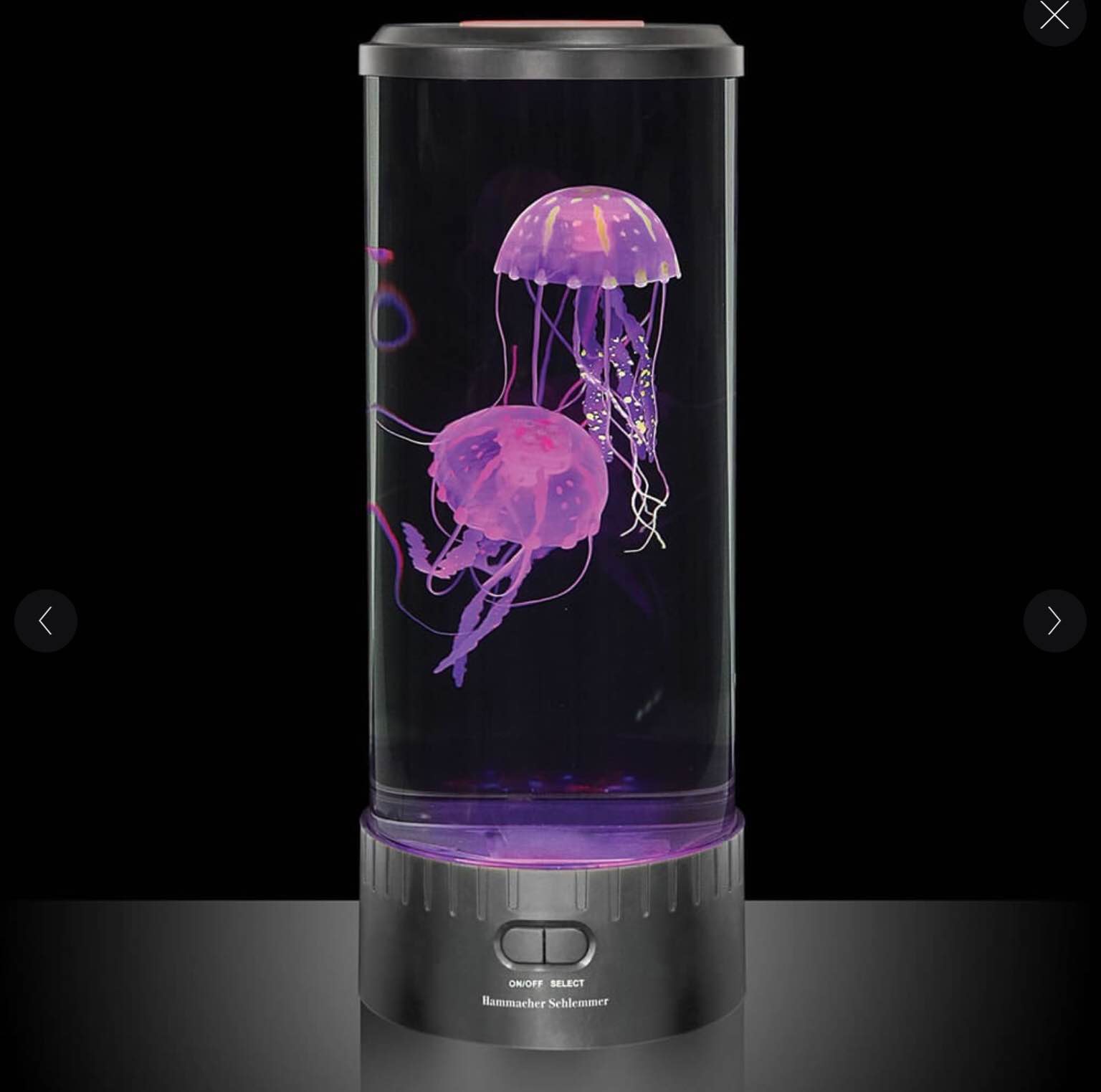 The Hypnotic Jellyfish Aquarium