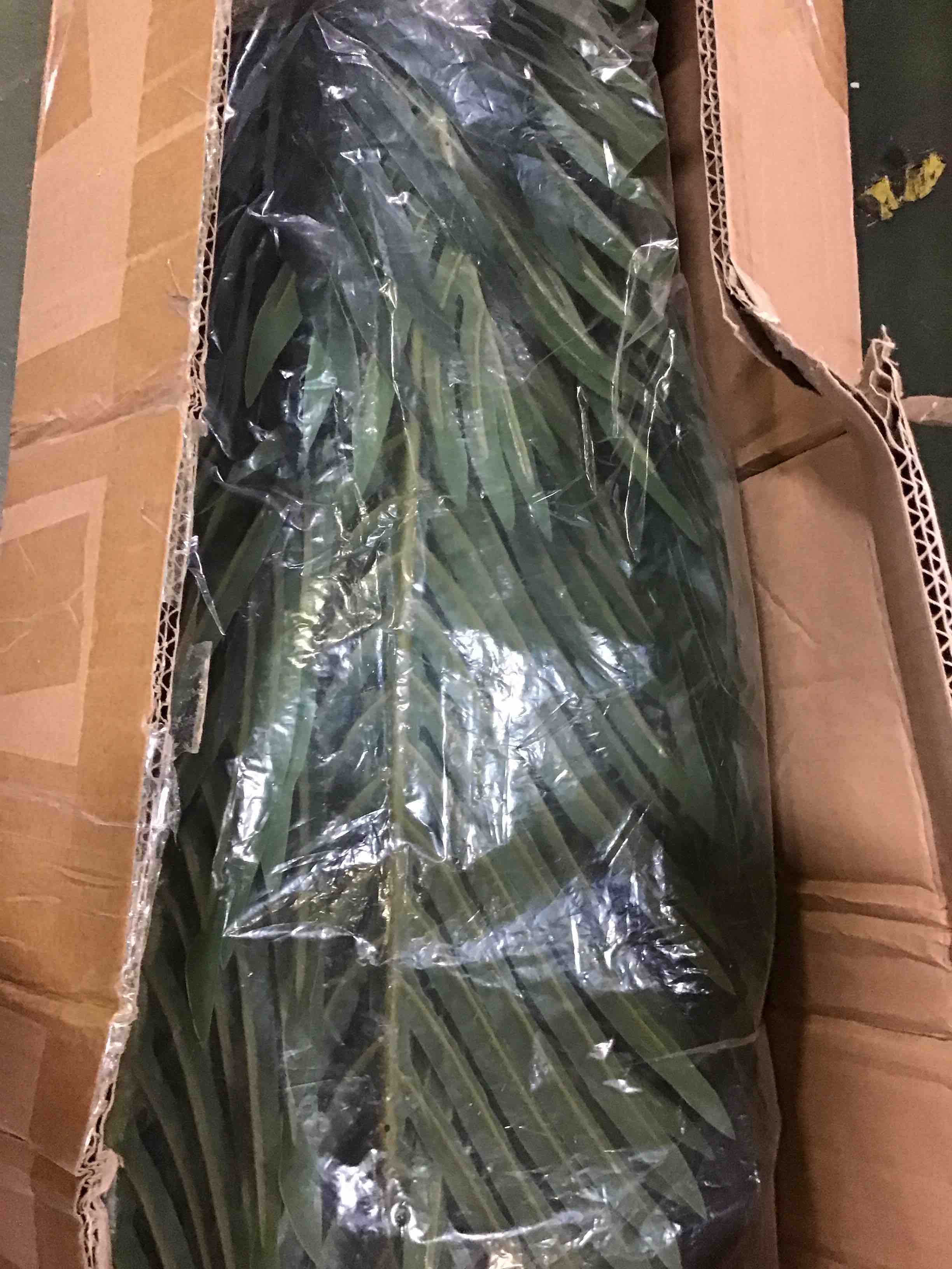 https://s3.amazonaws.com/lotting-images-prod/bidfta/YEL5393336_1694276953360.jpeg