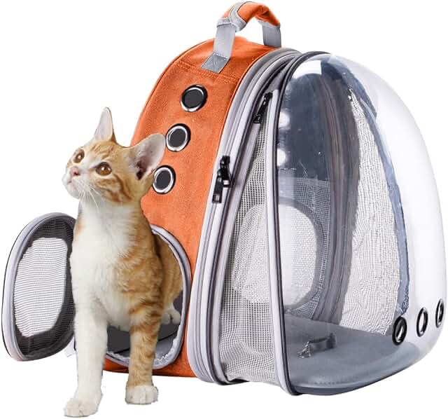 orange pet carrier