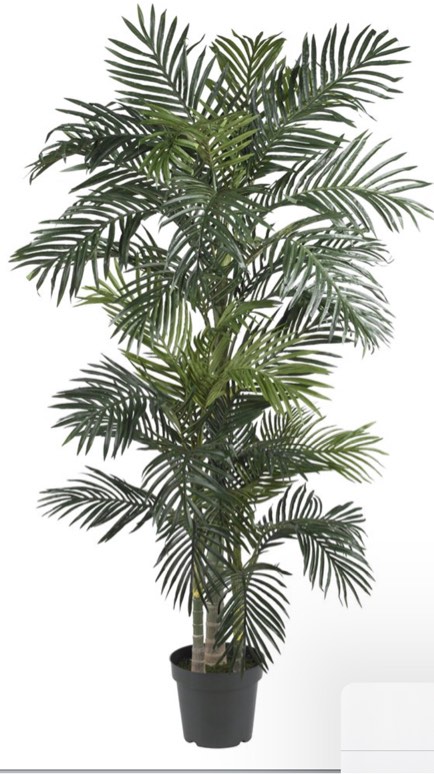 Fake plant (similar to stock photo) 