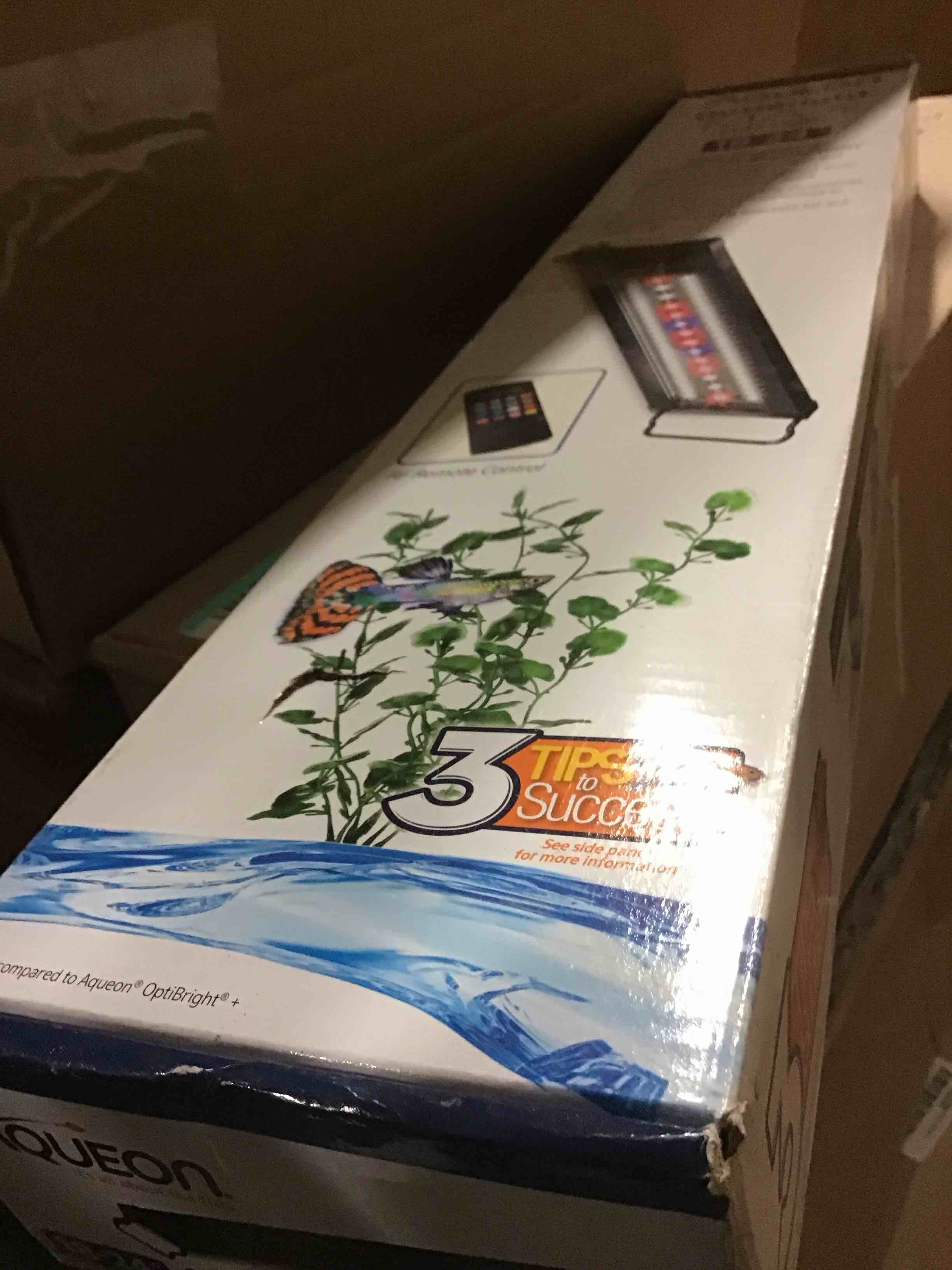 https://s3.amazonaws.com/lotting-images-prod/bidfta/YEL5474513_1706890607214.jpeg