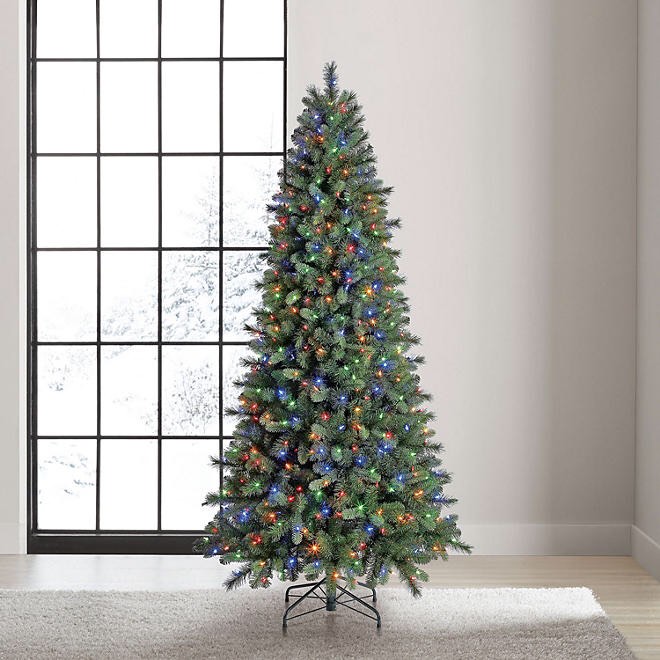 Member Mark 7.5FT PreLit Rocky Mountain Fir Artificial Christmas Tree