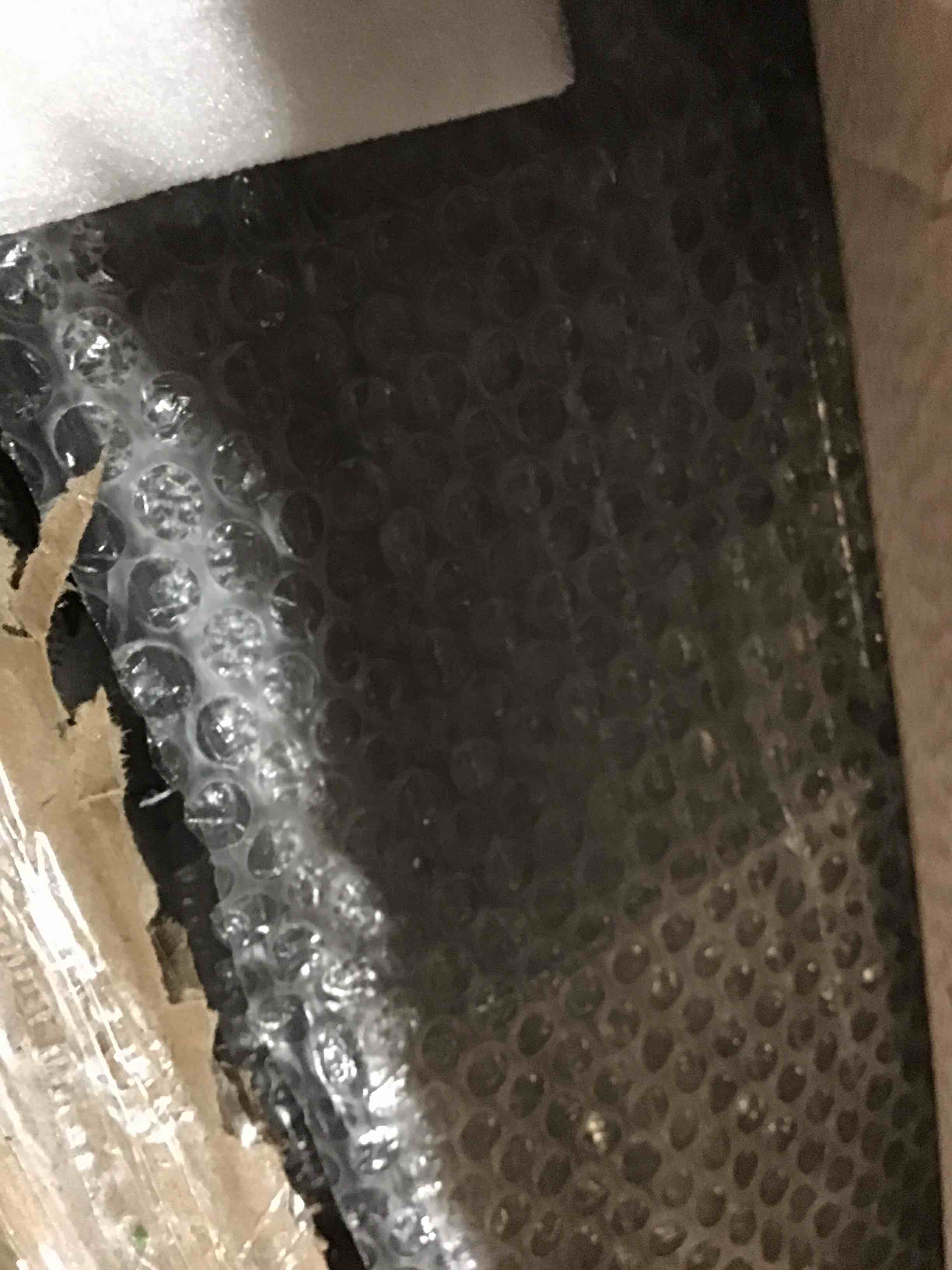https://s3.amazonaws.com/lotting-images-prod/bidfta/YEL5509713_1701977074227.jpeg