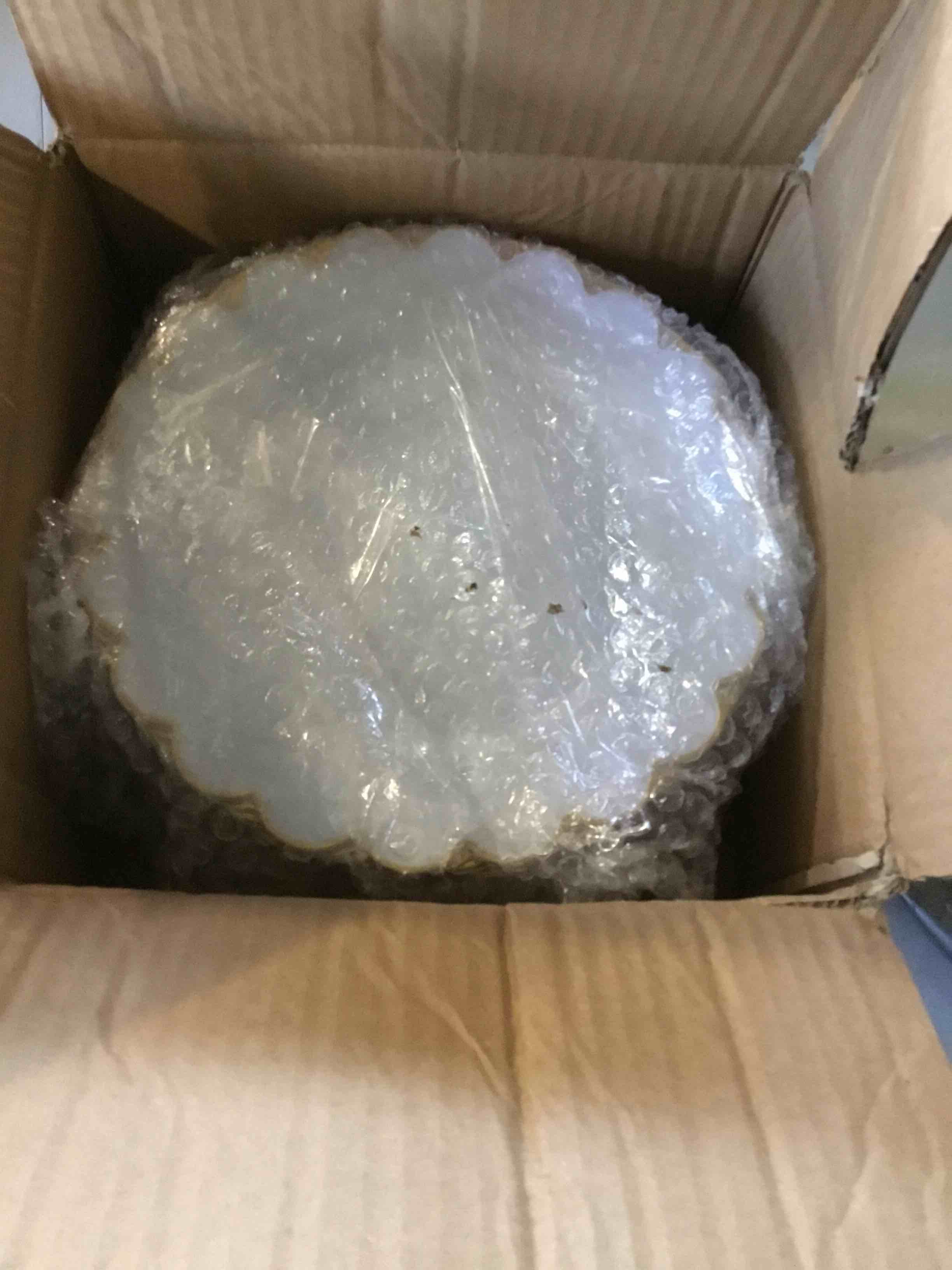https://s3.amazonaws.com/lotting-images-prod/bidfta/YEL5511783_1701292760224.jpeg