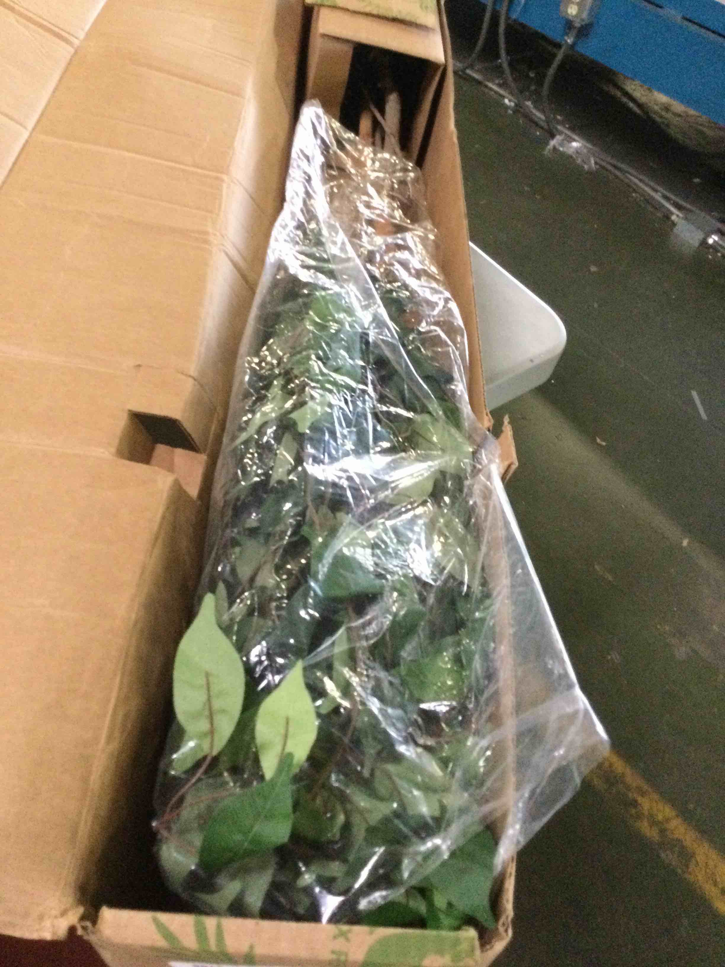 https://s3.amazonaws.com/lotting-images-prod/bidfta/YEL5517058_1699885527363.jpeg