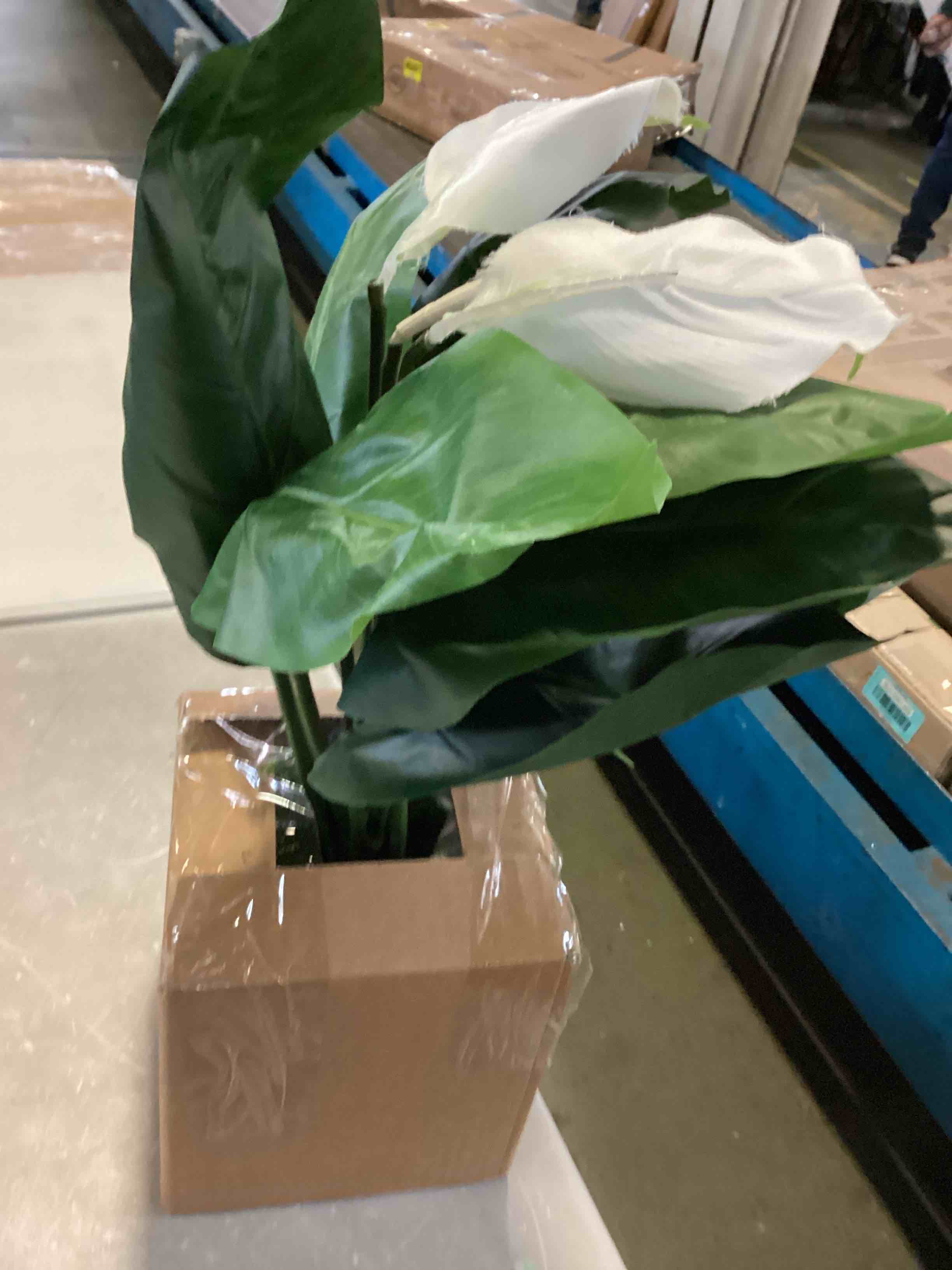 https://s3.amazonaws.com/lotting-images-prod/bidfta/YEL5517565_1698936128746.jpeg