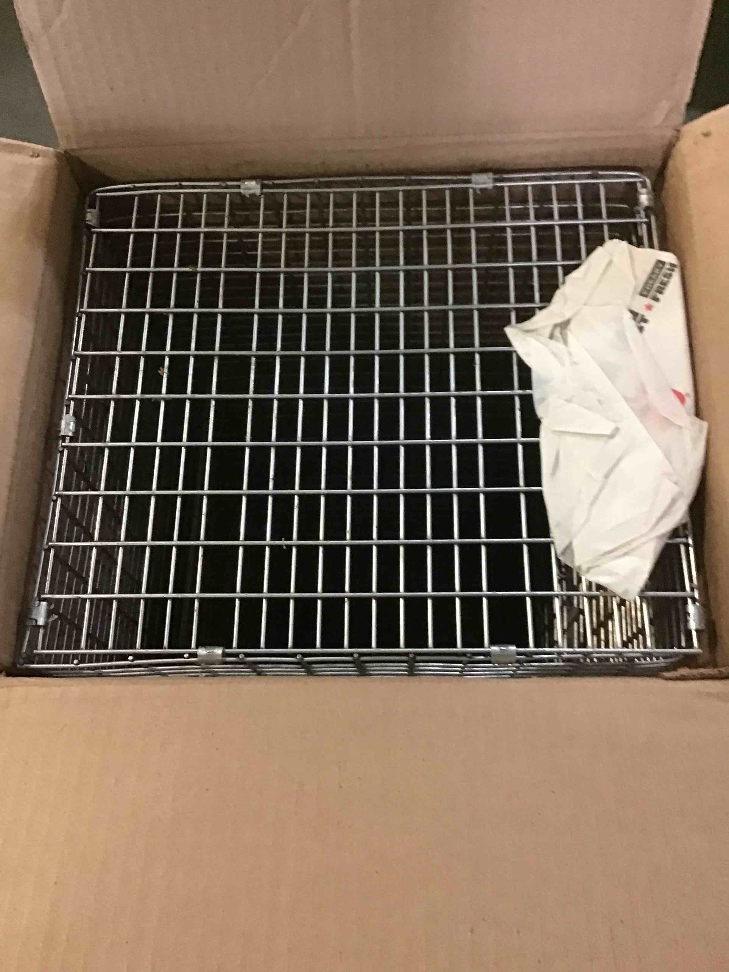 https://s3.amazonaws.com/lotting-images-prod/bidfta/YEL5519644_1699461048787.jpeg