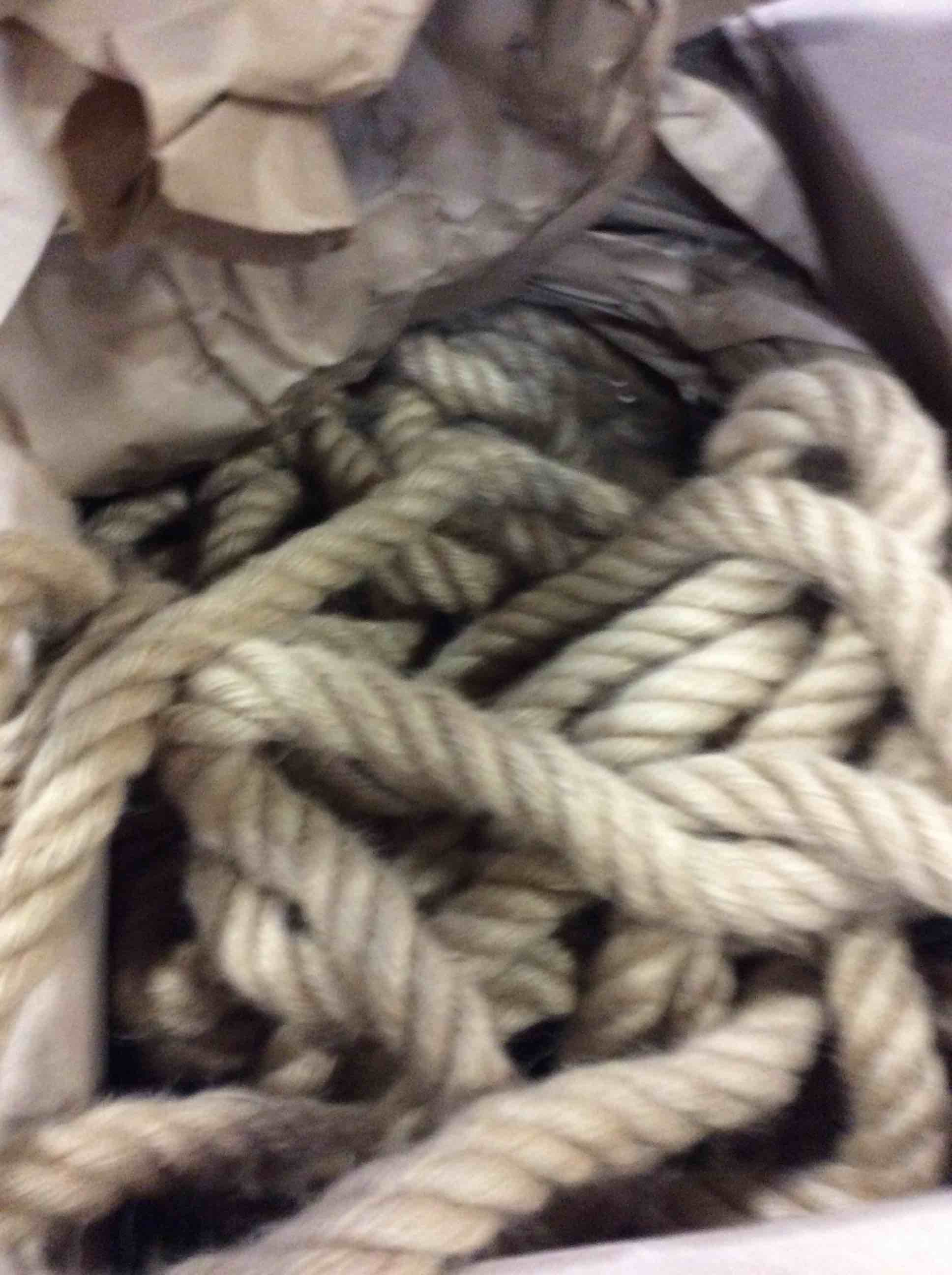 https://s3.amazonaws.com/lotting-images-prod/bidfta/YEL5533537_1696508185627.jpeg