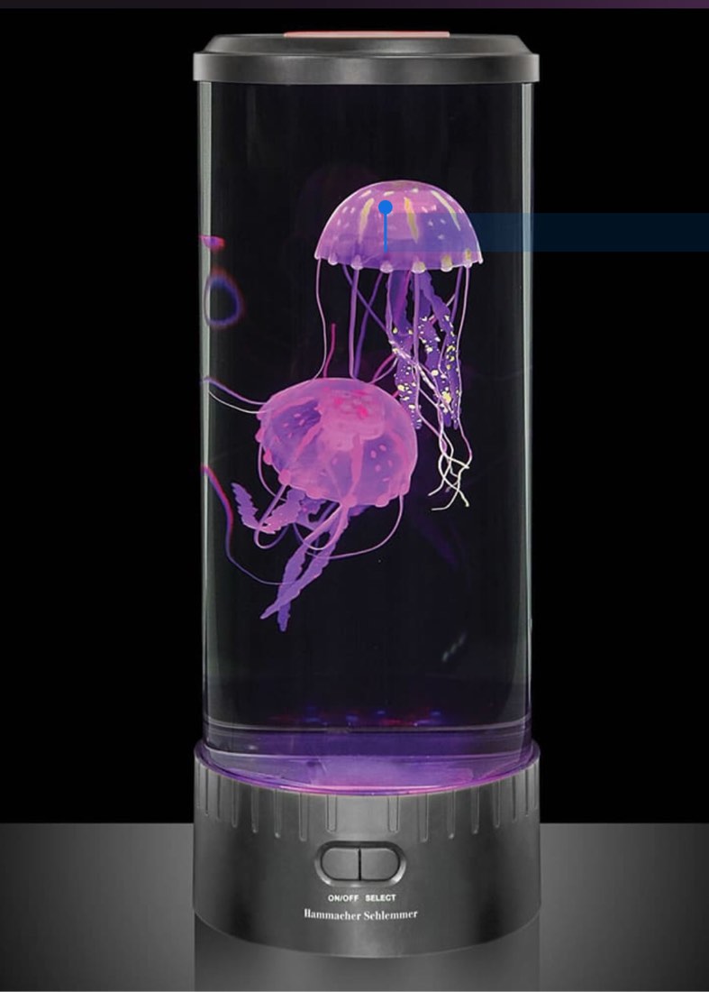 The Best Jellyfish Aquarium