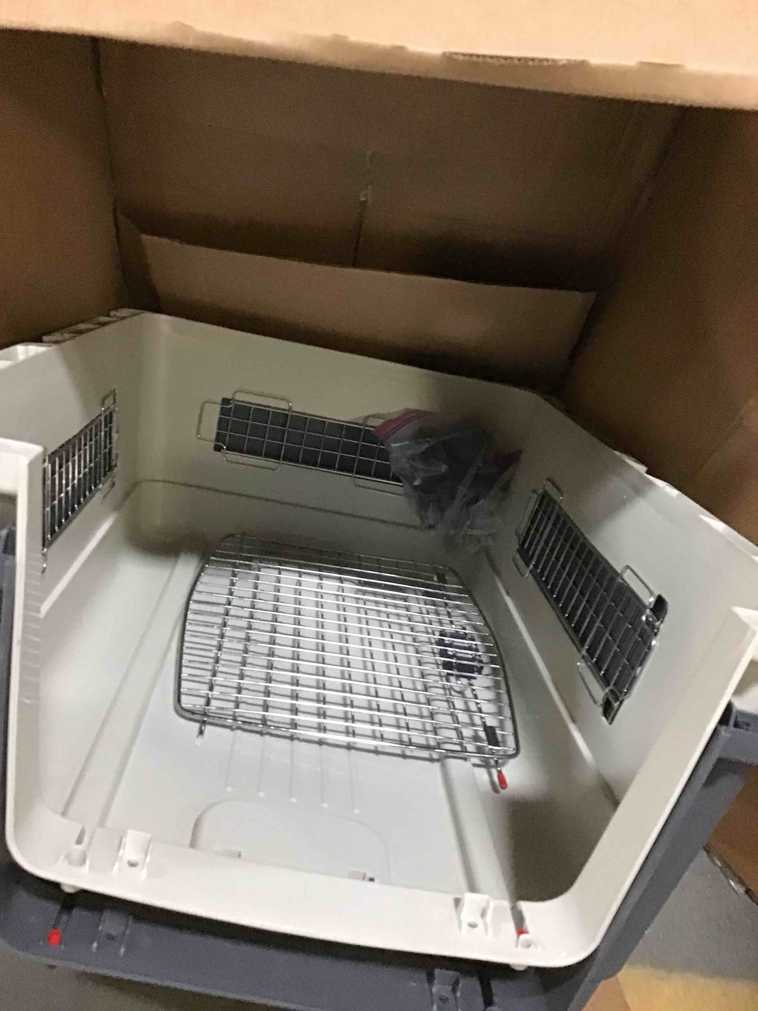 https://s3.amazonaws.com/lotting-images-prod/bidfta/YEL5585573_1697462747332.jpeg