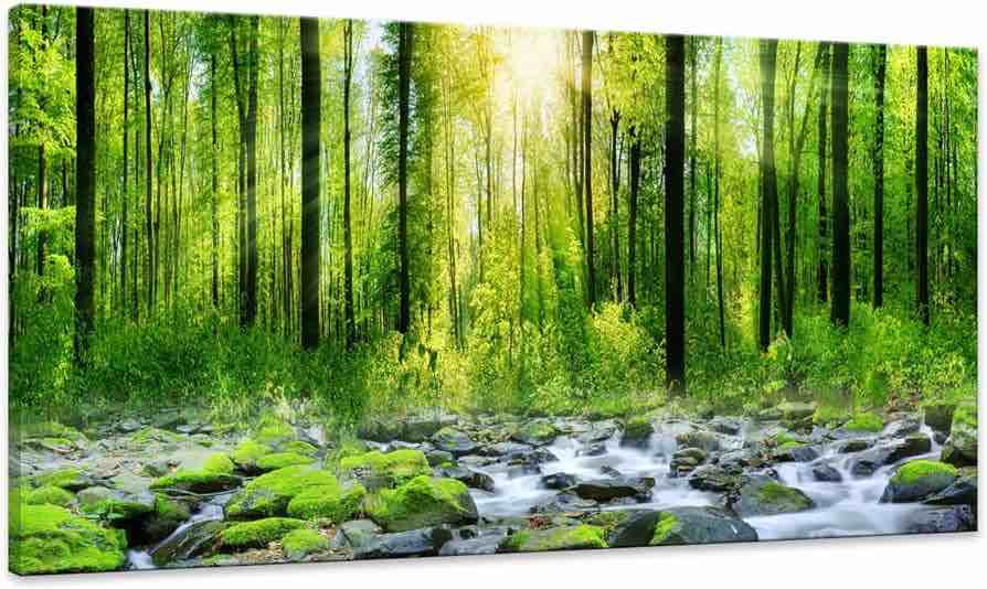 Canvas Wall Art for Bedroom Green Trees Landscape Sunshine Over Forest Photograph Printed on Canvas for Home Living Room Wall Decoration Large Mural Wall Art Print Artwork Natural Outdoor Pictures Size:30x60inch
