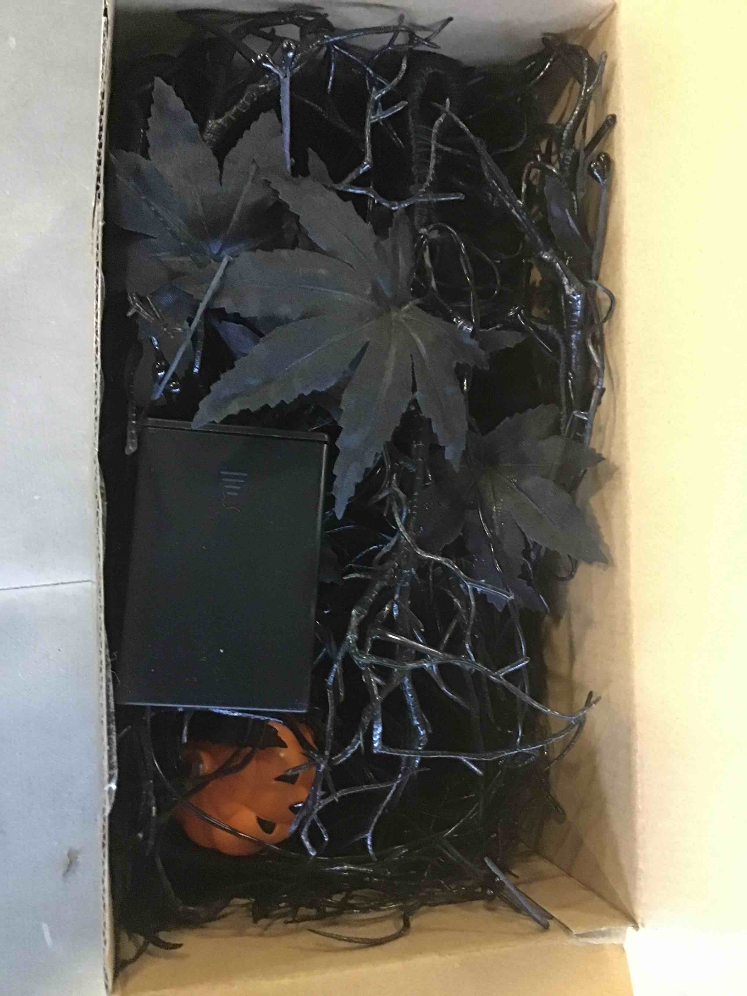 https://s3.amazonaws.com/lotting-images-prod/bidfta/YEL5616263_1702560694524.jpeg