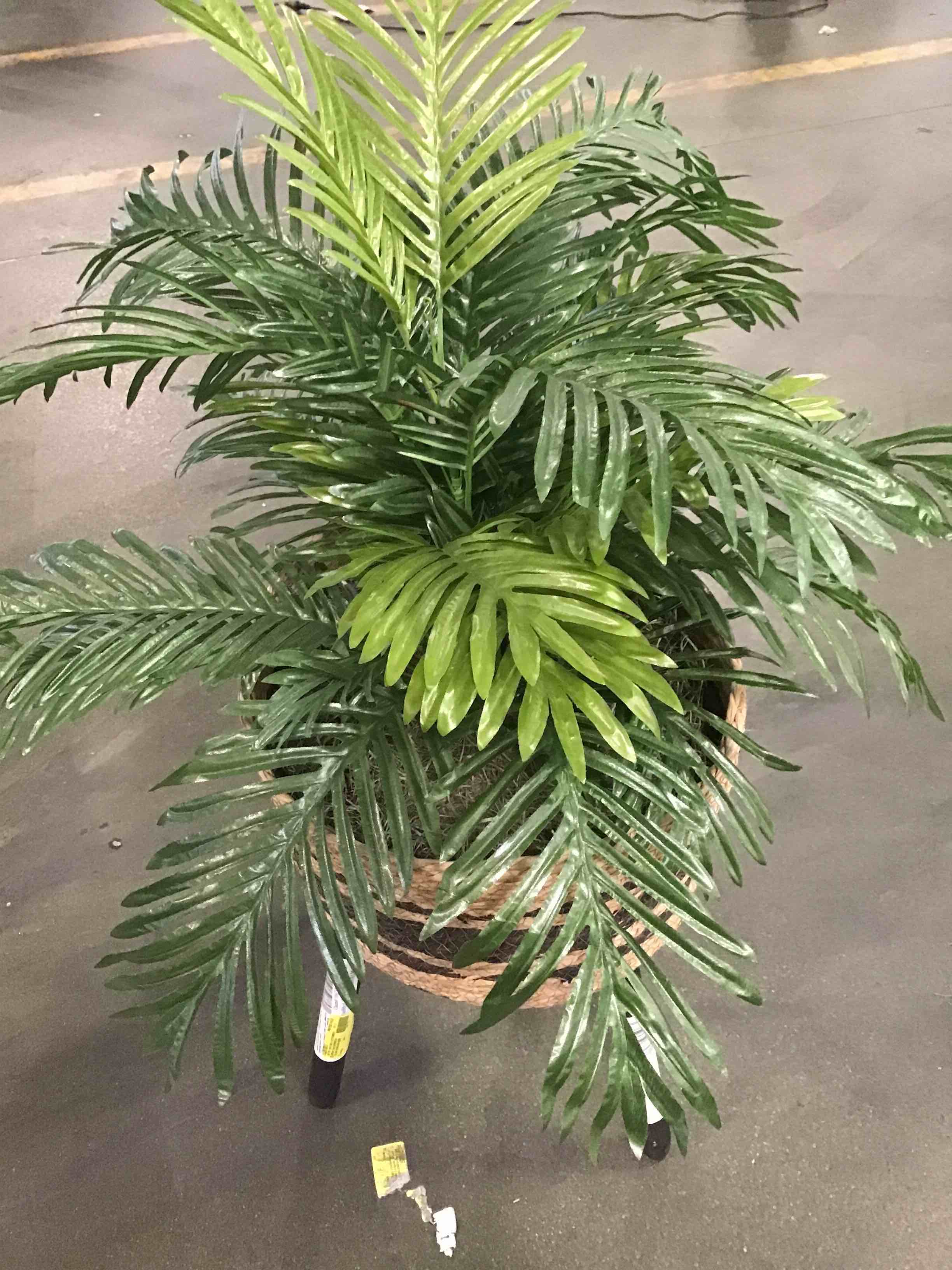 Assorted Artificial Plants in TriPod Stands