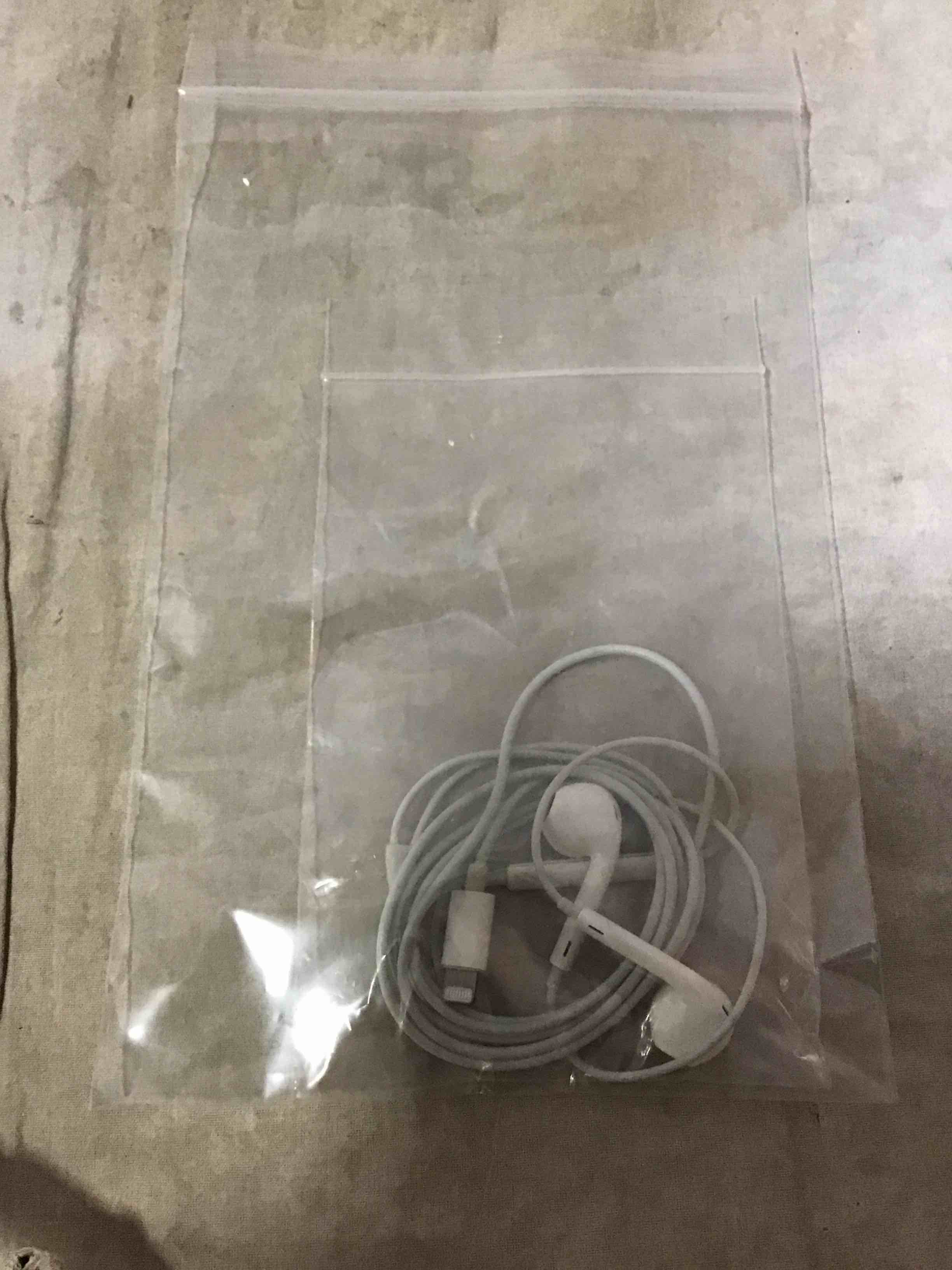 Apple Wired Earbuds 