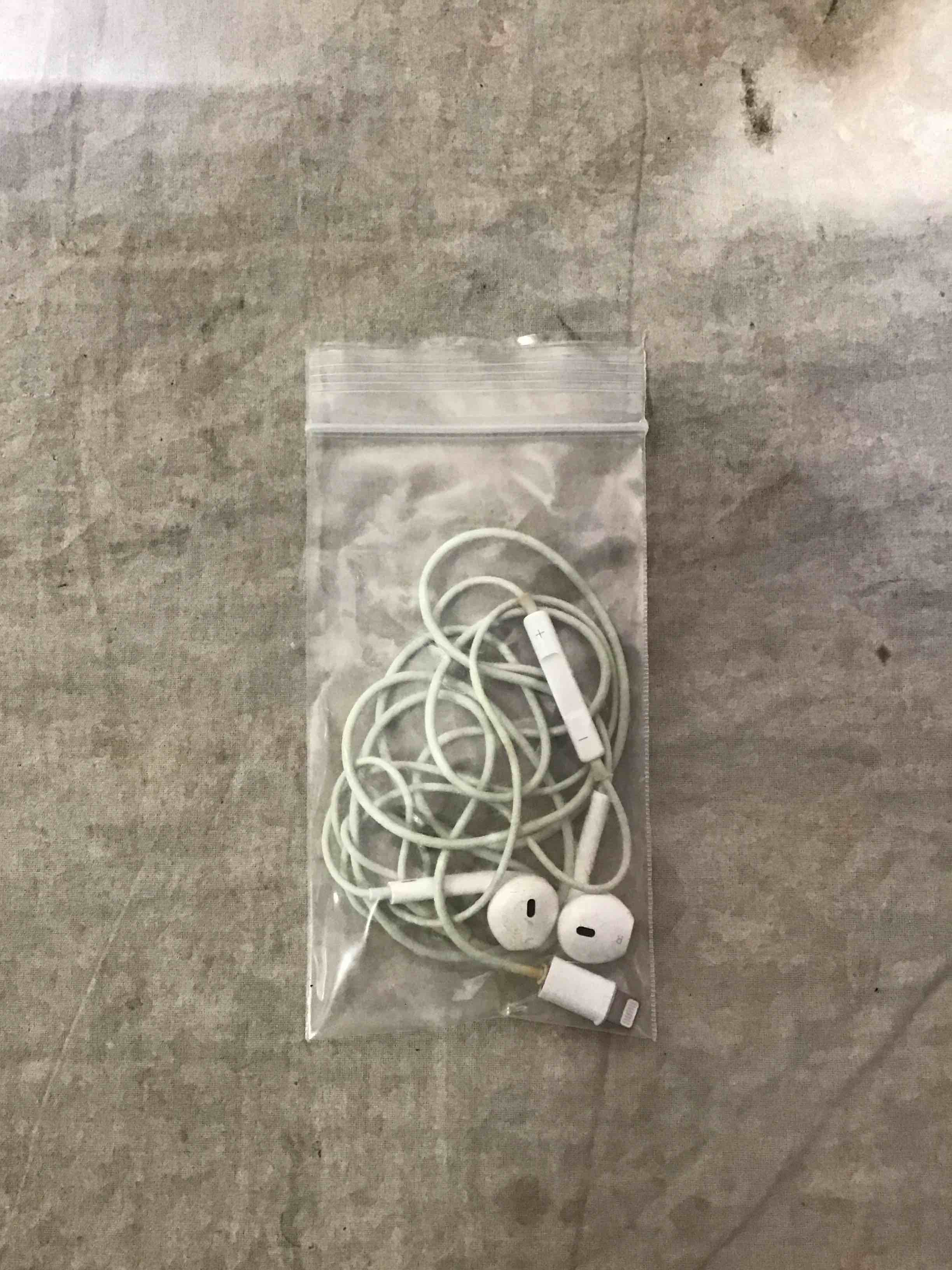 Apple Wired Earbuds 