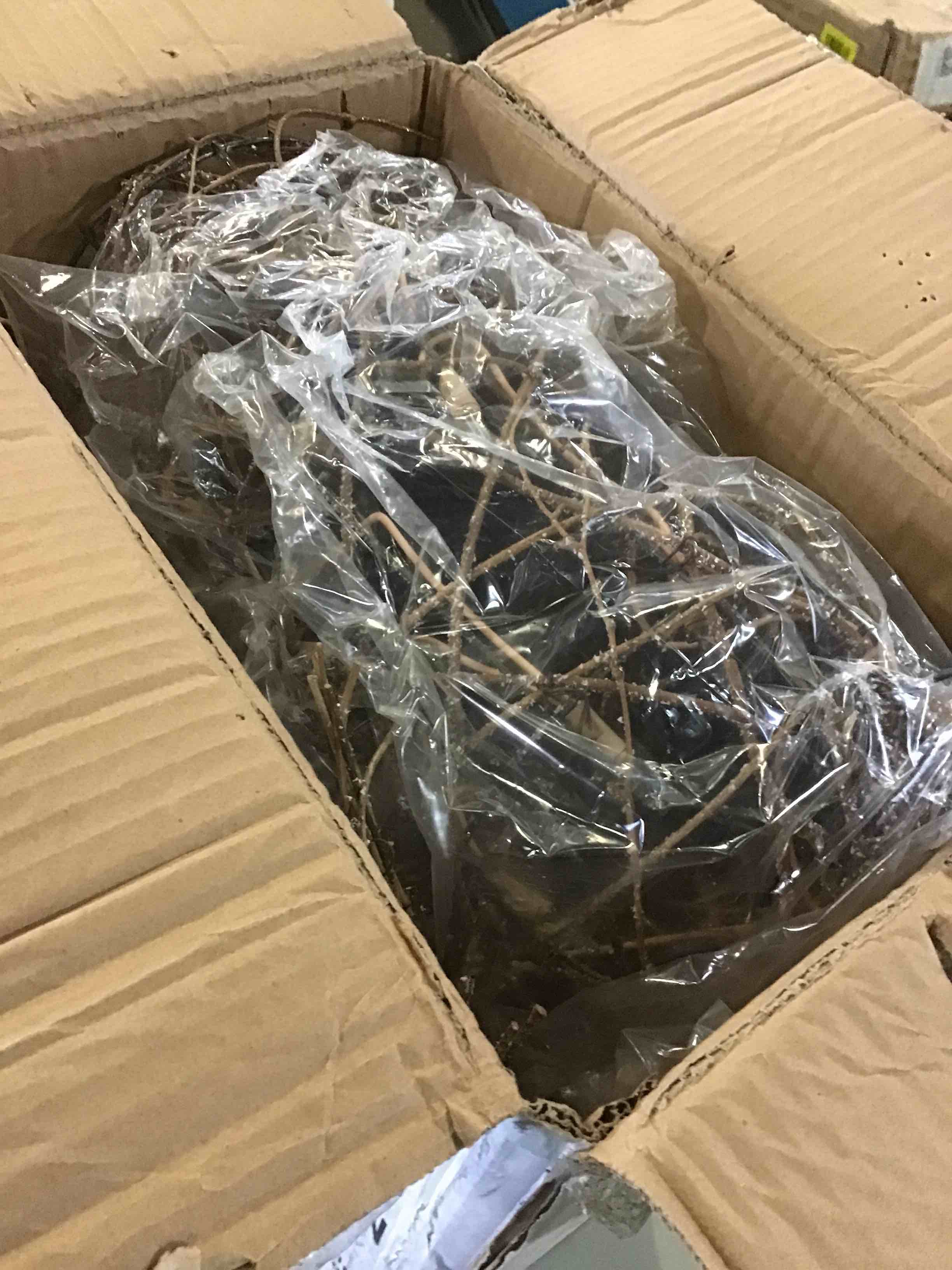 https://s3.amazonaws.com/lotting-images-prod/bidfta/YEL5646554_1699027139272.jpeg