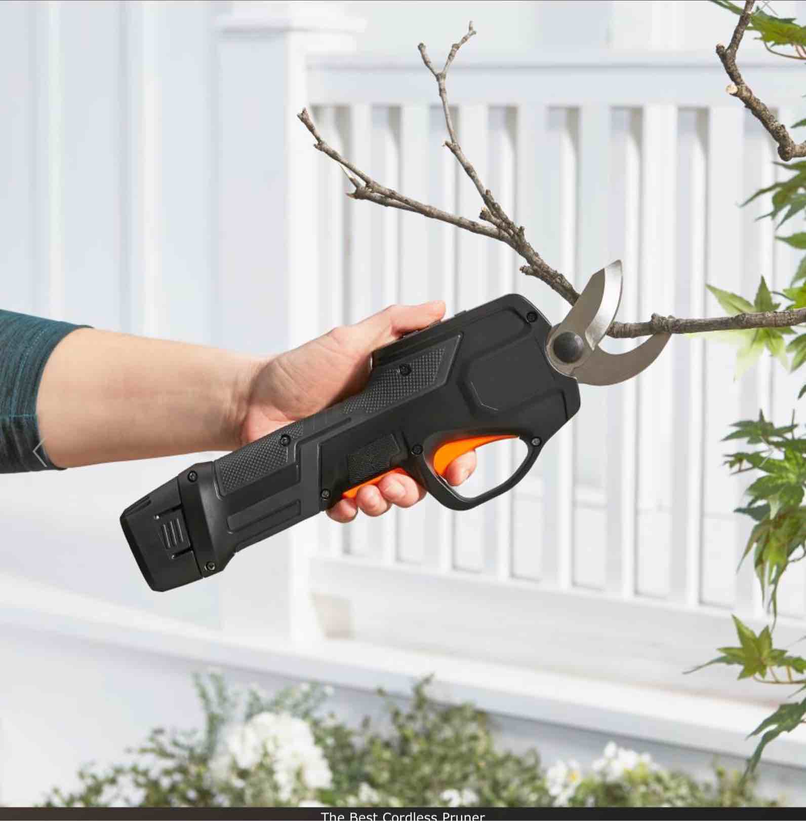 The Best Cordless Pruner