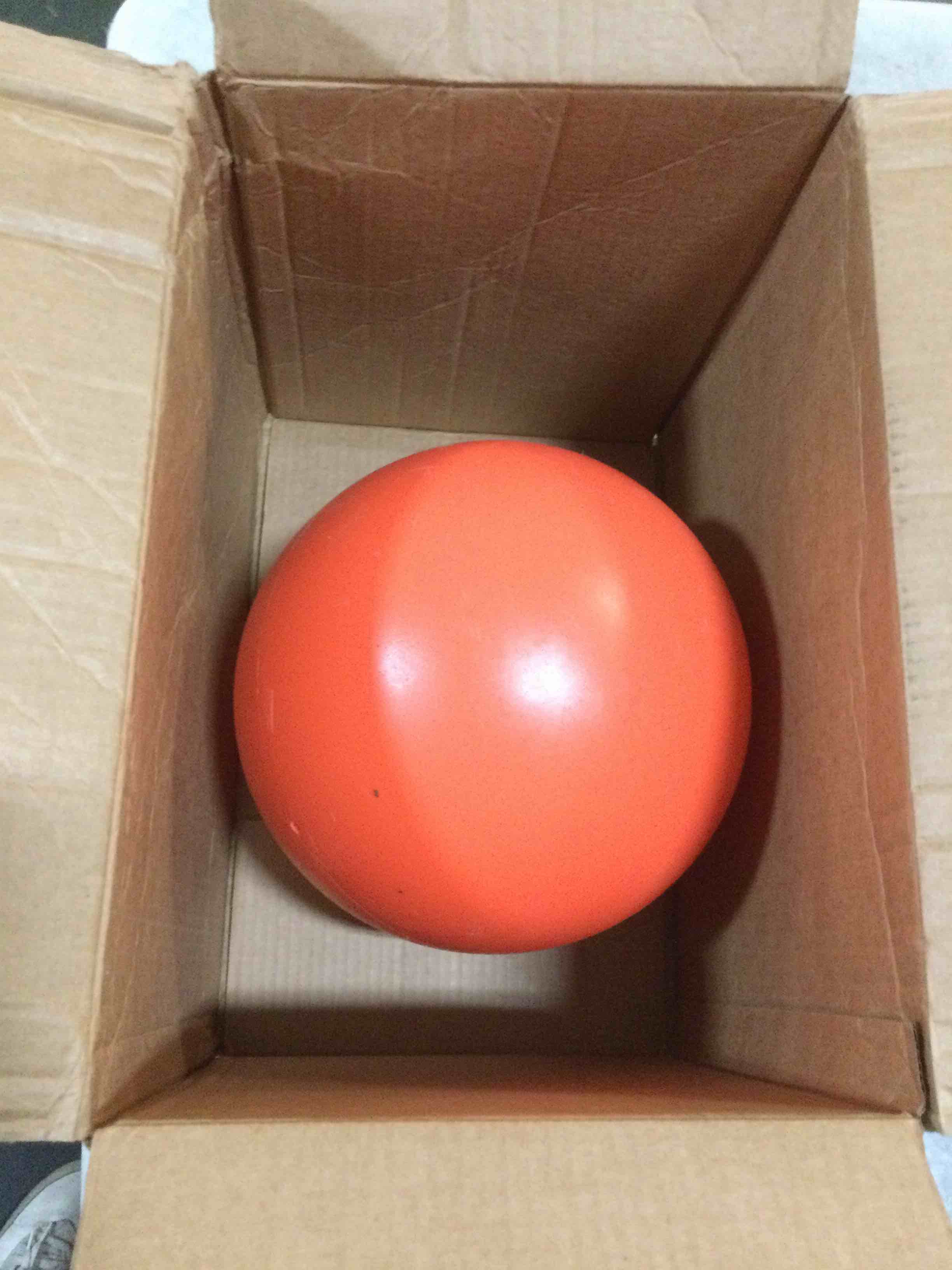 https://s3.amazonaws.com/lotting-images-prod/bidfta/YEL5654397_1700228889691.jpeg