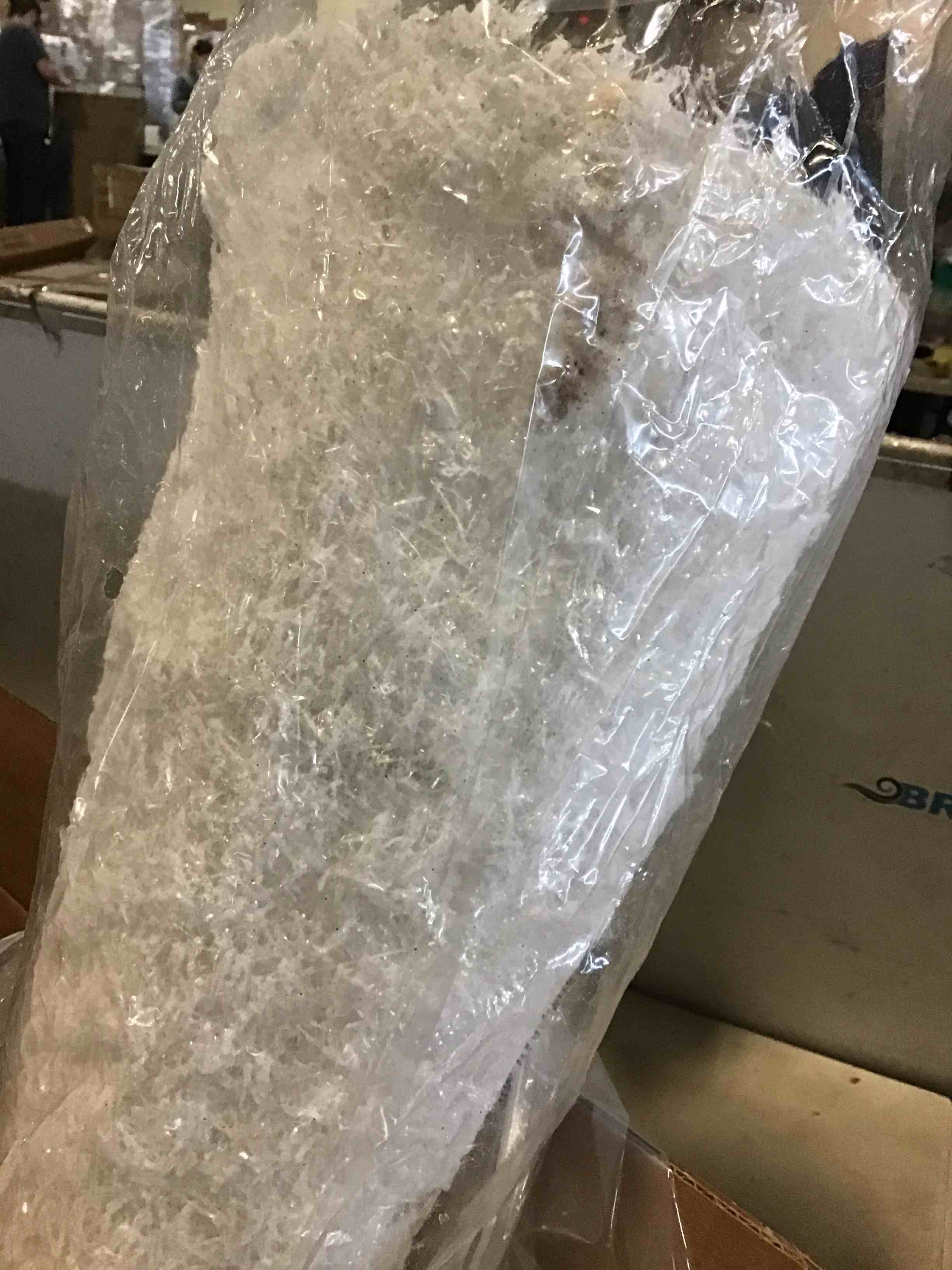 https://s3.amazonaws.com/lotting-images-prod/bidfta/YEL5668348_1702585585278.jpeg