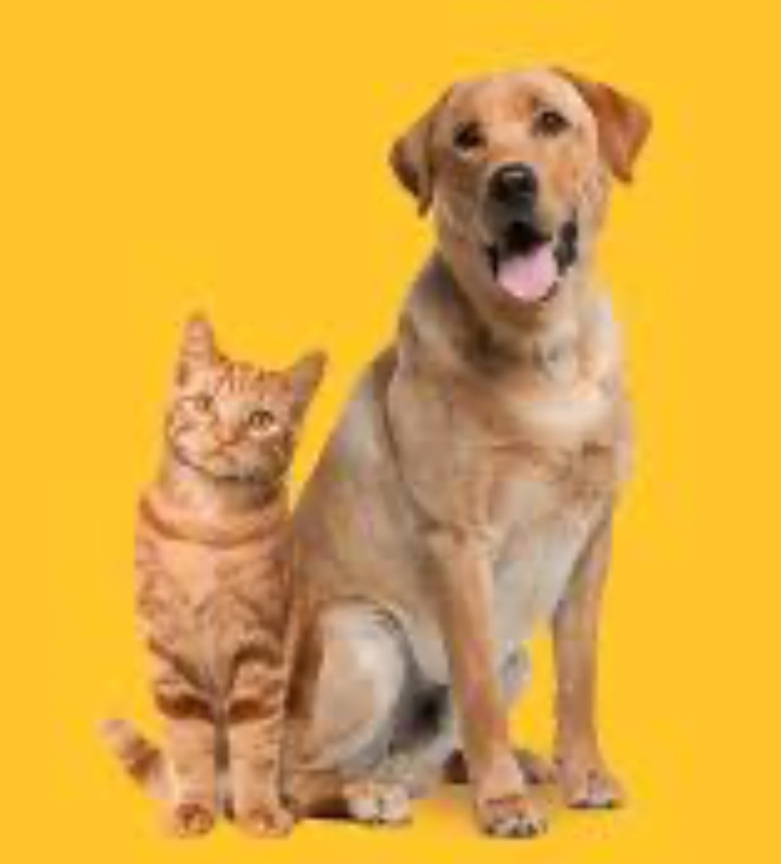 Assorted Coastal brand Pet Products