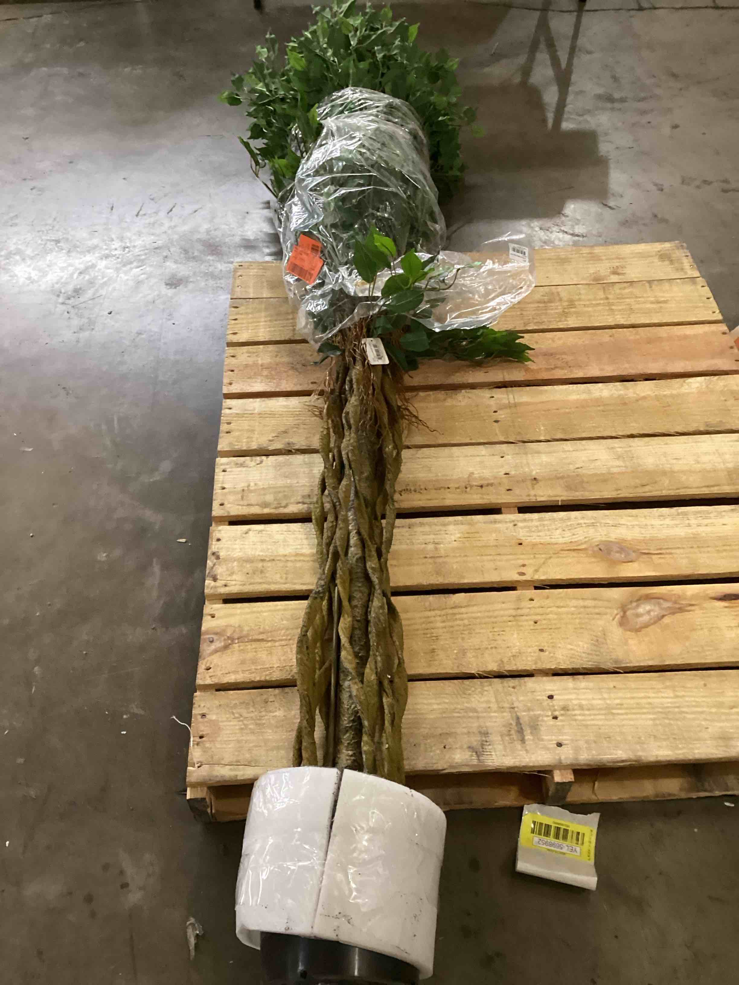 https://s3.amazonaws.com/lotting-images-prod/bidfta/YEL5701578_1717006972379.jpeg