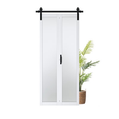 Bifold interior door, white, glass
