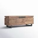 Miriam Storage Trunk