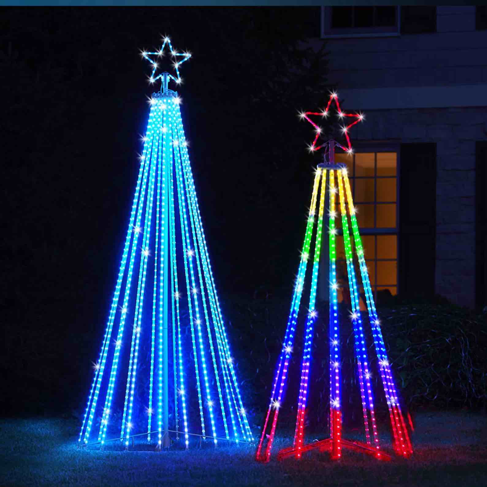 The Choreographed Light Show Tree