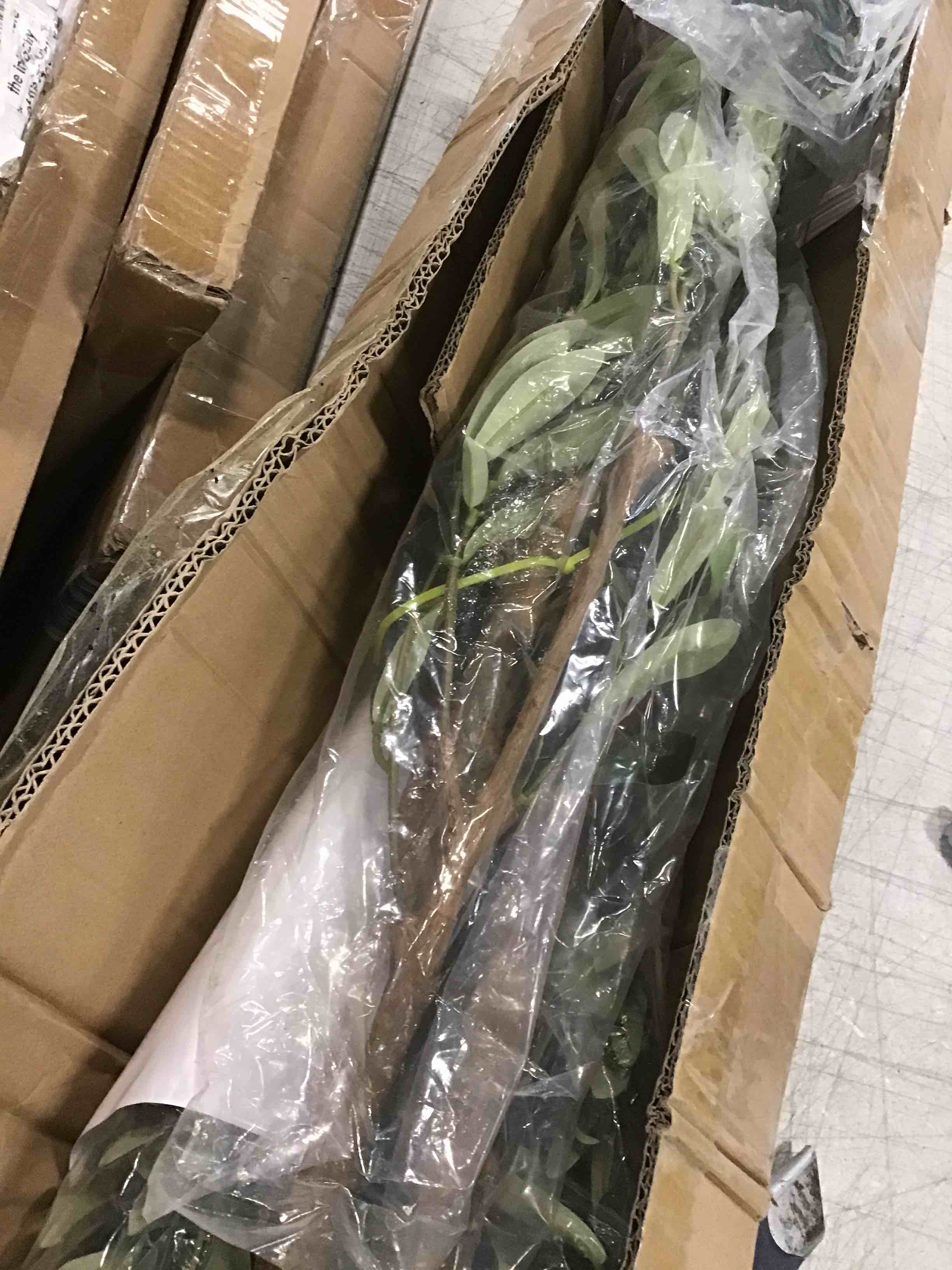 https://s3.amazonaws.com/lotting-images-prod/bidfta/YEL5750403_1711813012043.jpeg