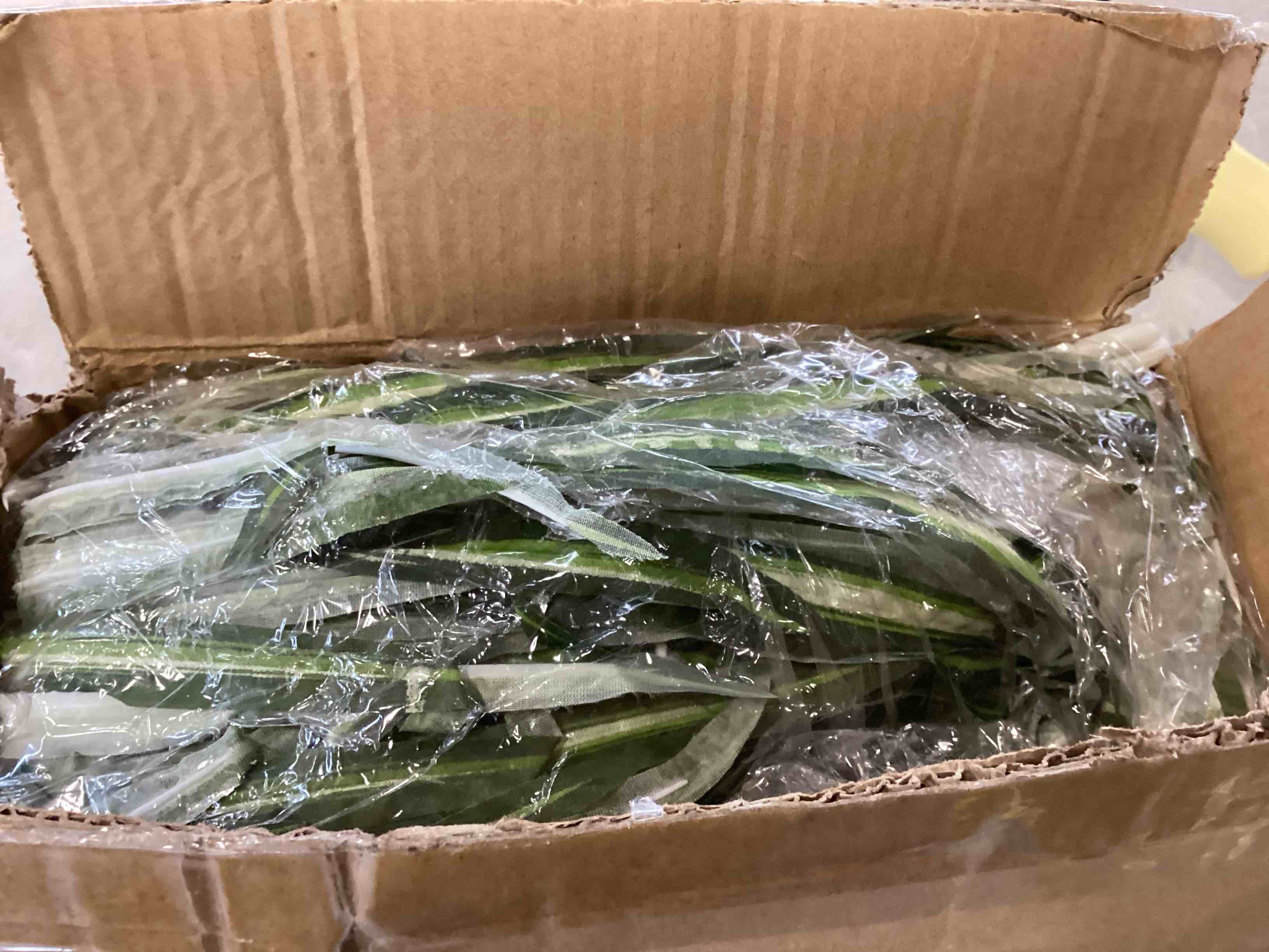 https://s3.amazonaws.com/lotting-images-prod/bidfta/YEL5767511_1707492964562.jpeg