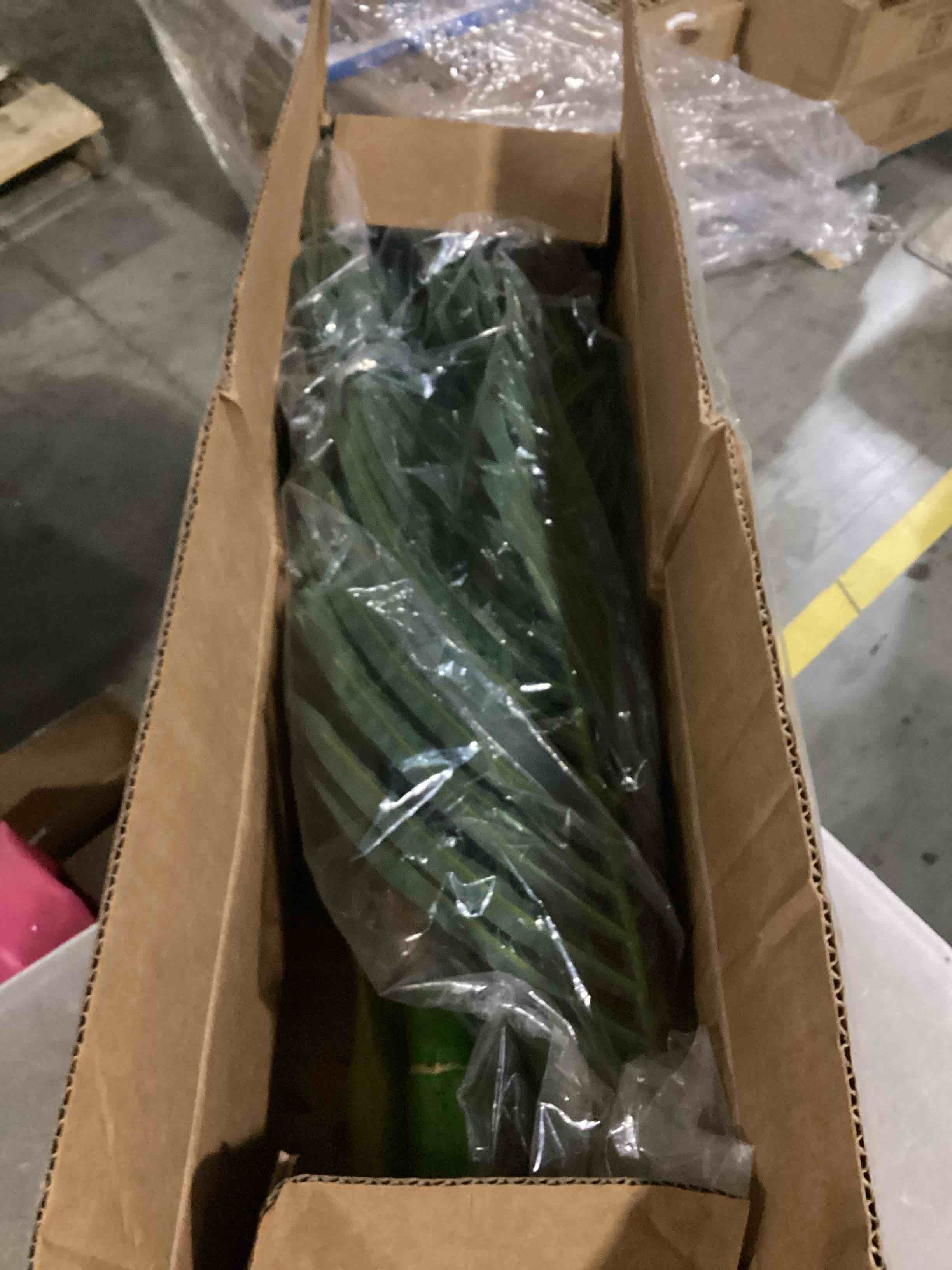 https://s3.amazonaws.com/lotting-images-prod/bidfta/YEL5830573_1724942498492.jpeg
