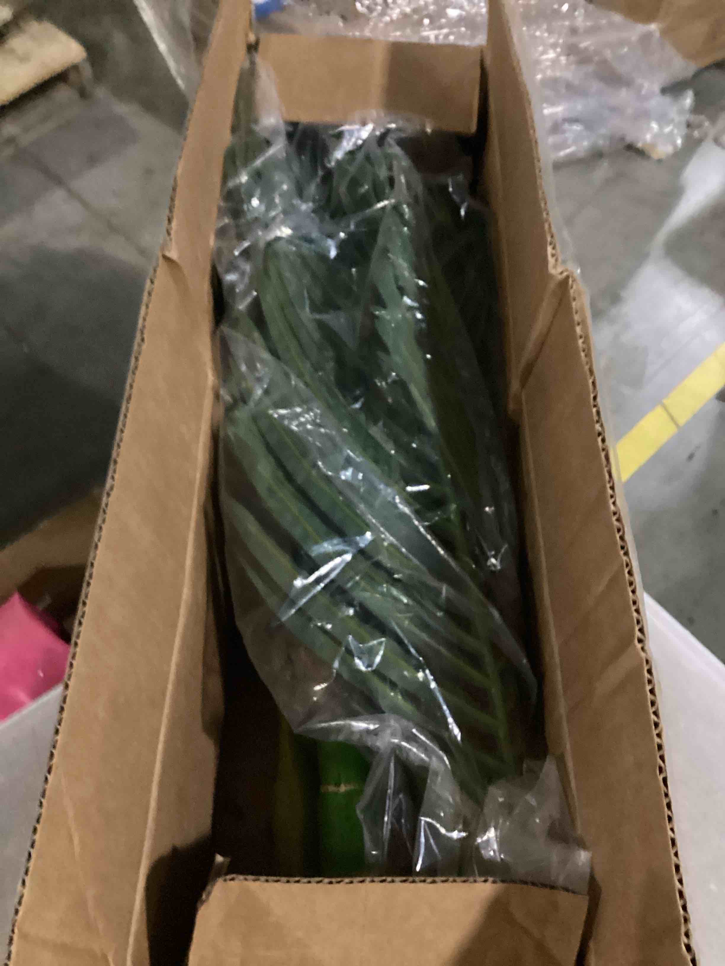 https://s3.amazonaws.com/lotting-images-prod/bidfta/YEL5830573_1724942499385.jpeg