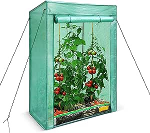 Tomato Greenhouse