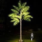 IJG 7FT Lighted Palm Tree for Outside Patio, 560 LED Warm White Light Artificial Palm Tree with Timing Function, LED Palm Tree for Pool Beach Patio Yard Tiki Bar Hawaii Outdoor Indoor Decoration