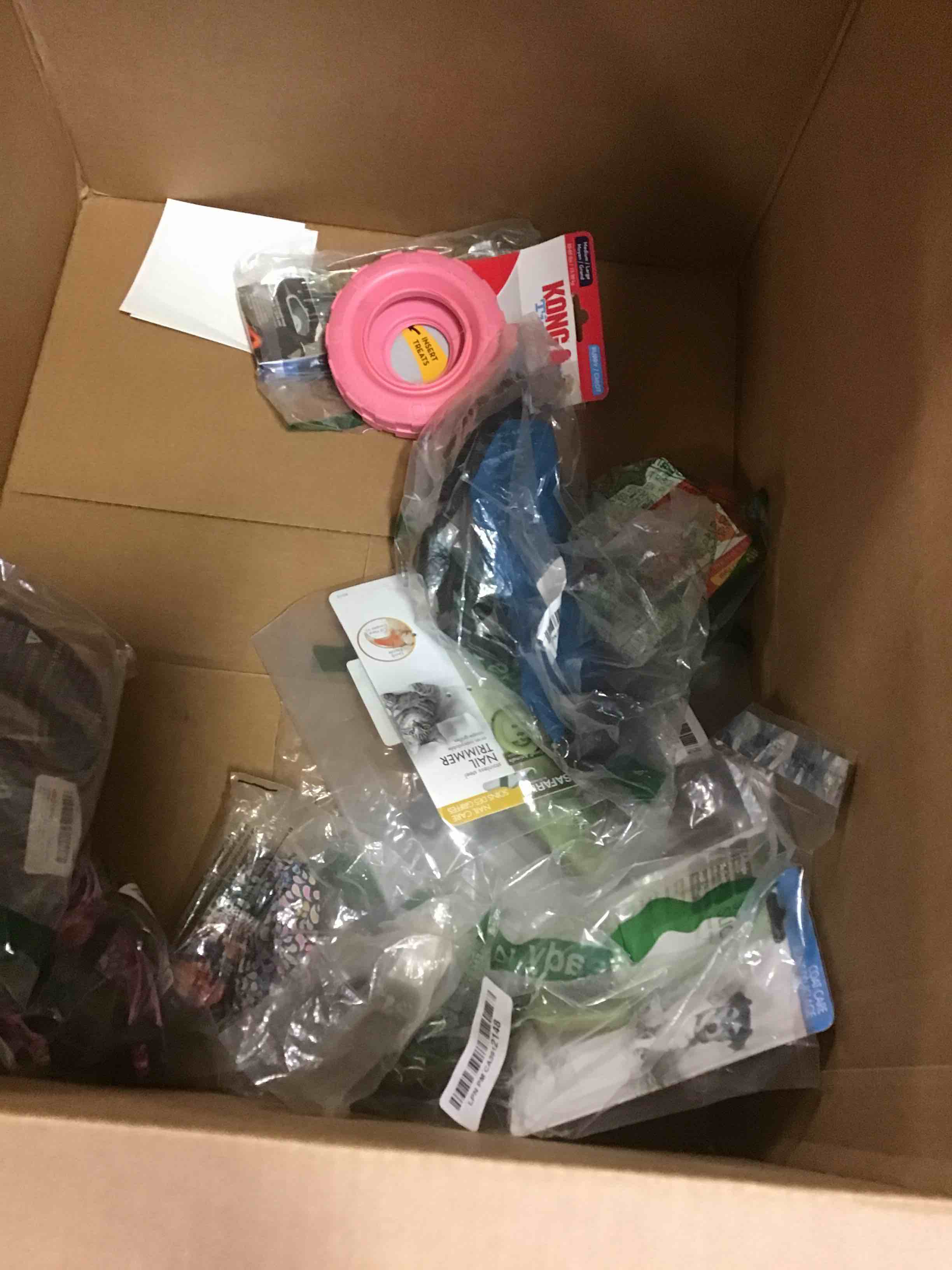 assorted accessories for dog varying styles