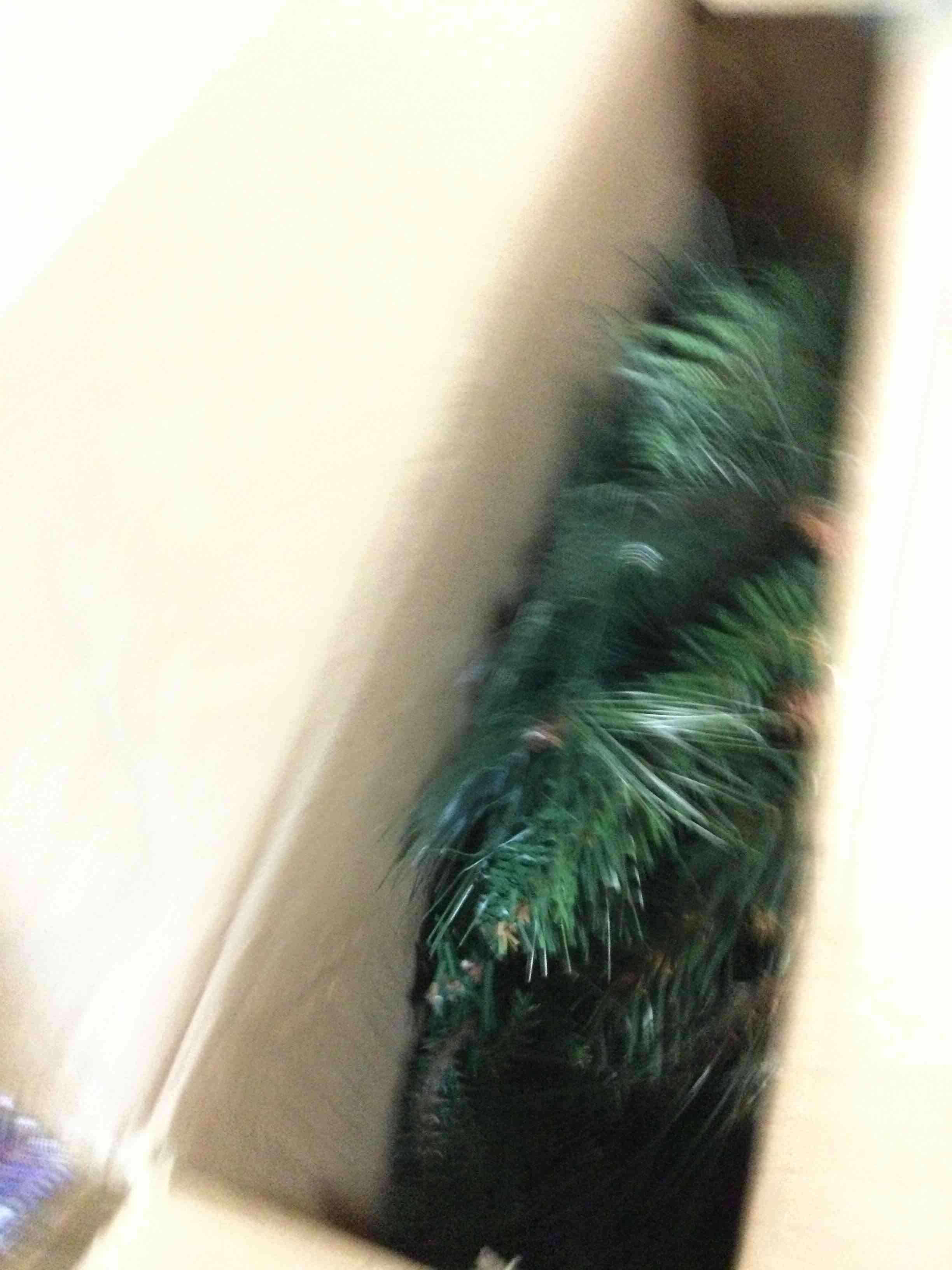 https://s3.amazonaws.com/lotting-images-prod/bidfta/YEL5966190_1709408454030.jpeg