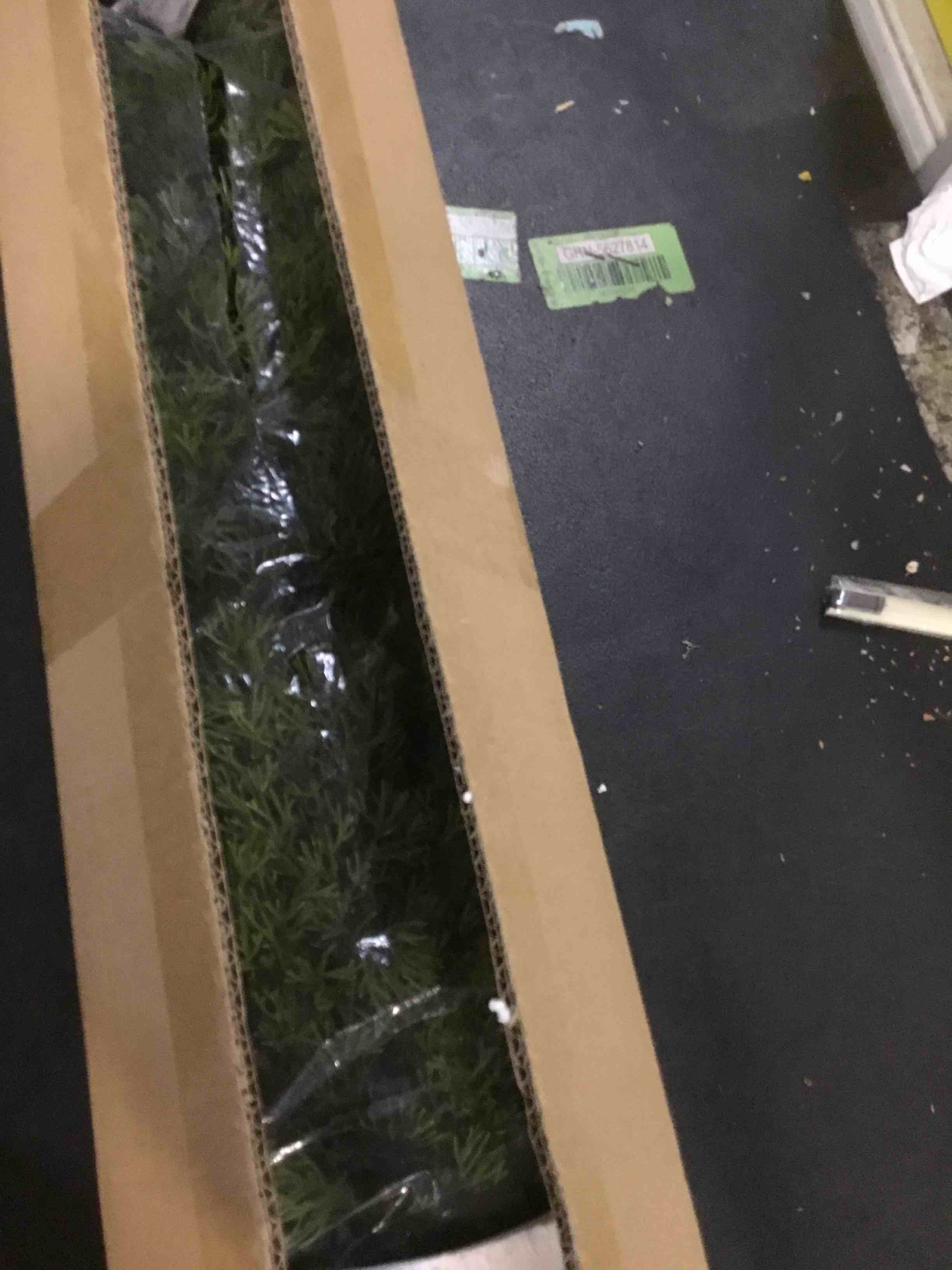 https://s3.amazonaws.com/lotting-images-prod/bidfta/YEL5967682_1709653756469.jpeg