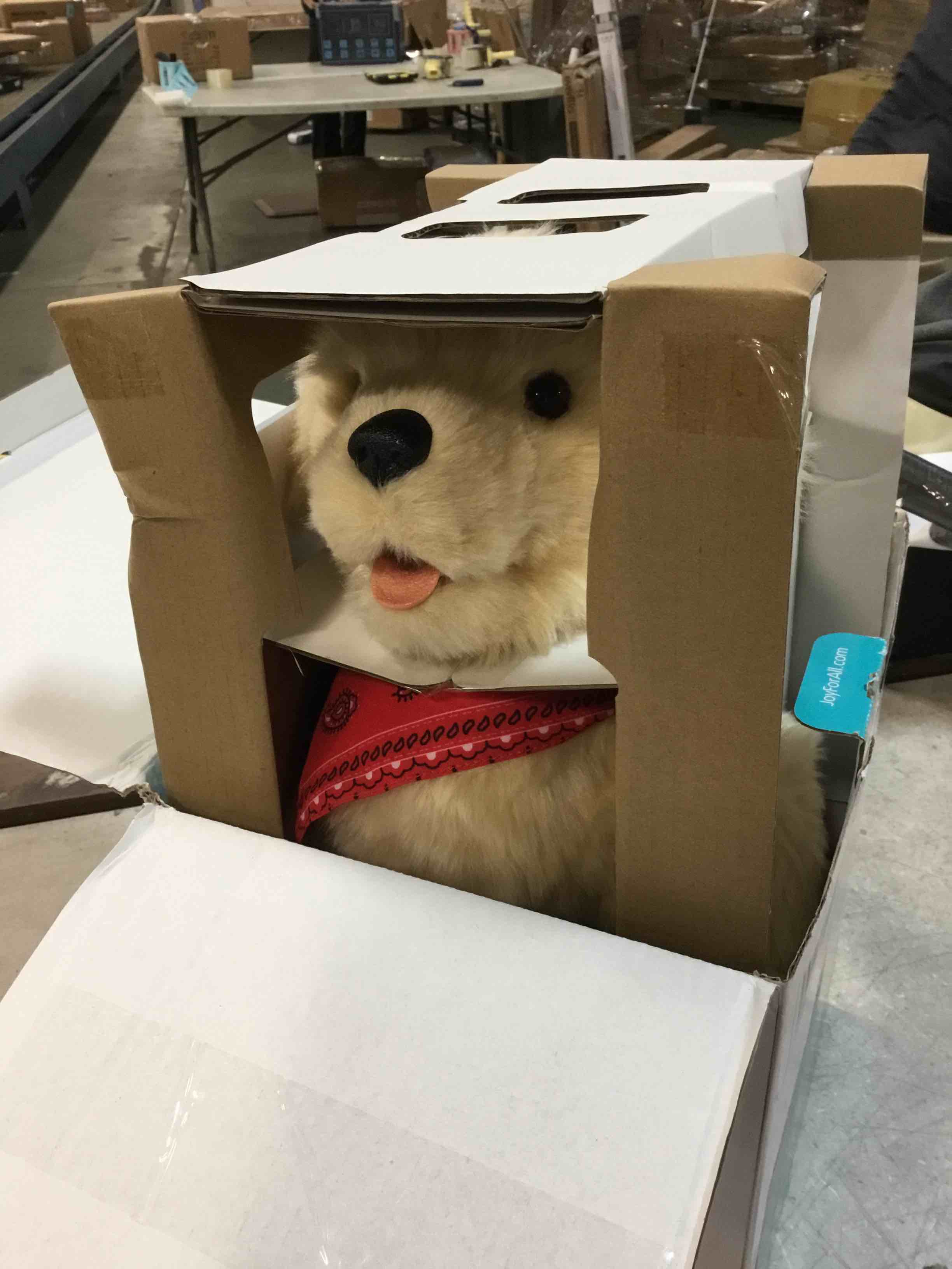 https://s3.amazonaws.com/lotting-images-prod/bidfta/YEL5968223_1709903810593.jpeg
